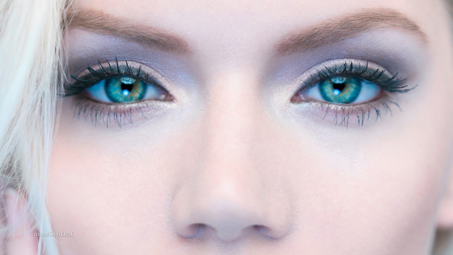 human eye, looking at camera, model, iris - eye, women, body part, Martina Dimitrova, close-up, human body part, human face, watching, young adult, beautiful woman, HD Wallpaper