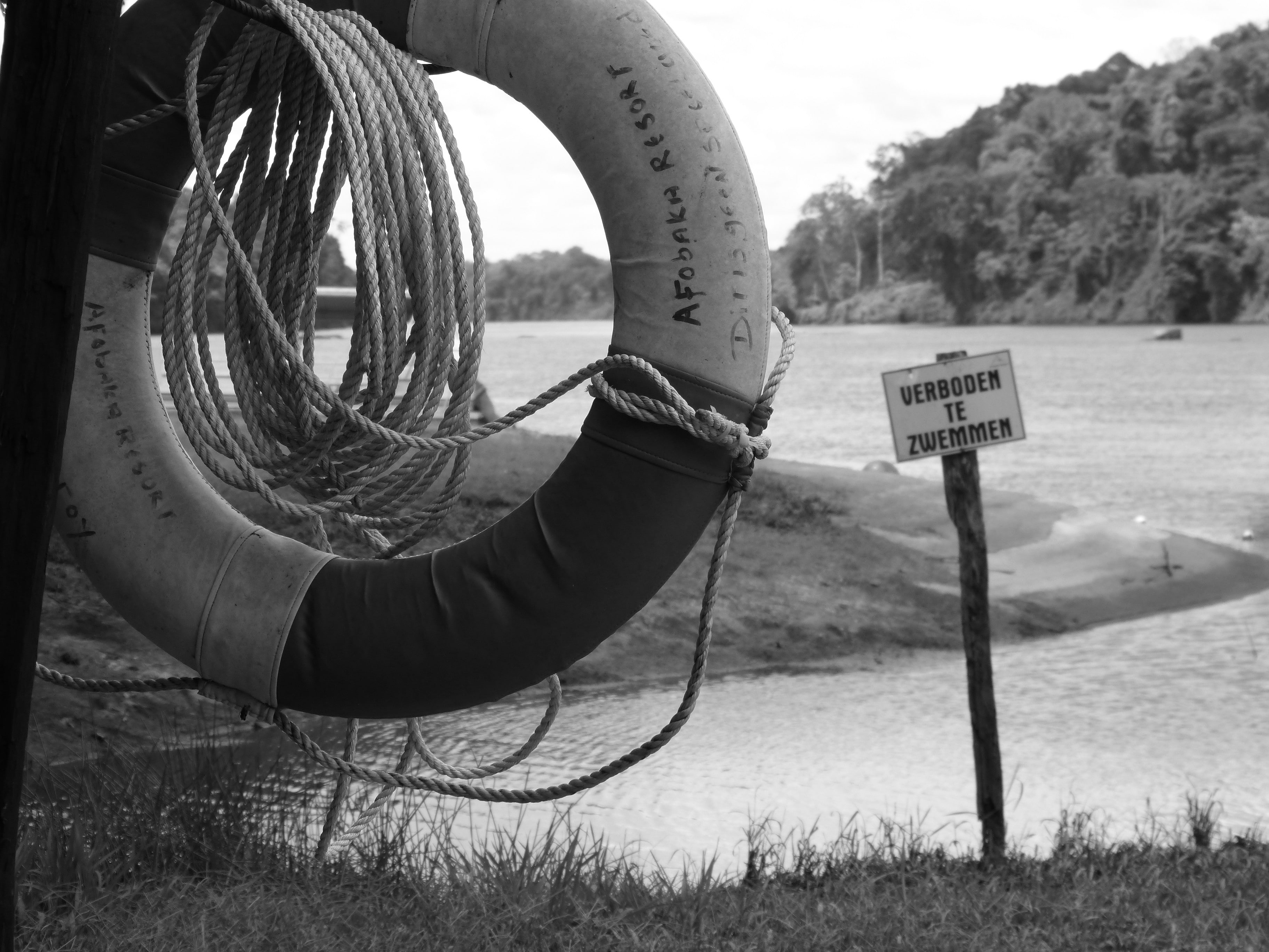 security, warning sign, nature, 2K, sign, outdoors, water, life belt, field, day, script, communication, safety, western script, rope, land, text, protection, HD Wallpaper