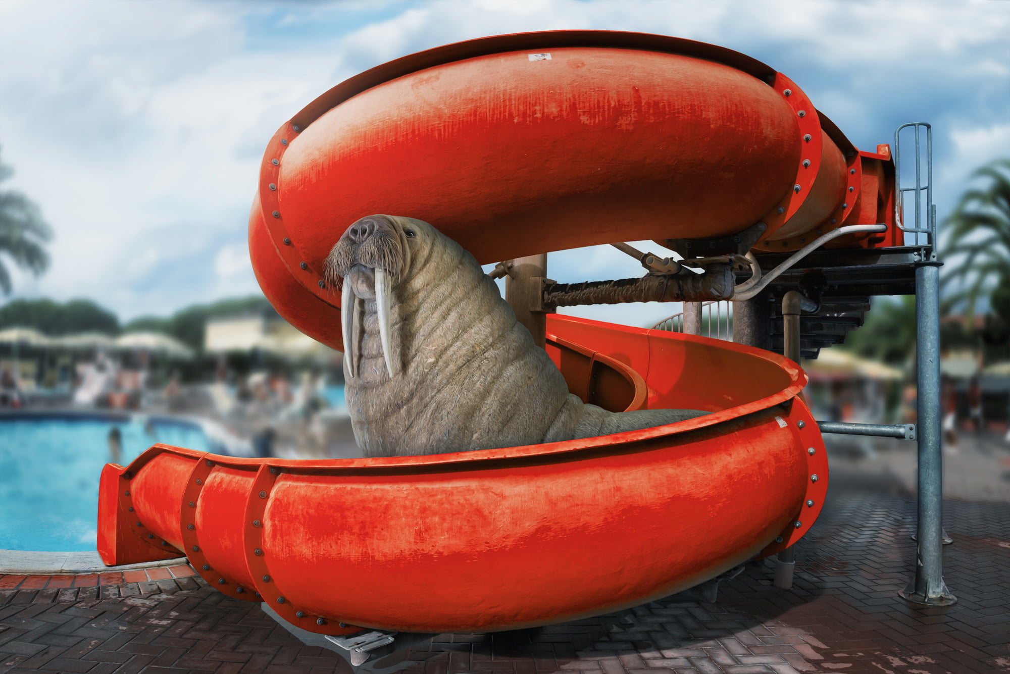 sky, one animal, transportation, protection, water, animal wildlife, river, animal, brown, day, water park, nautical Vessel, inflatable, close-up, tube, HD Wallpaper