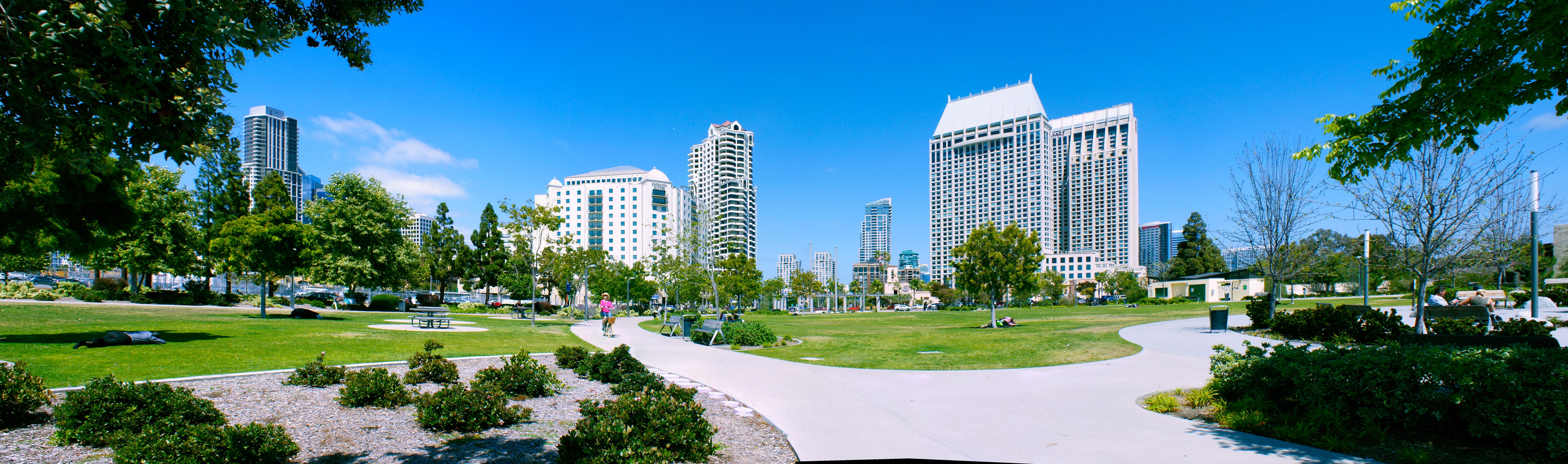 urban skyline, modern, landscape, building exterior, plant, sky, cityscape, outdoors, nature, blue, no people, office building exterior, skyscraper, san diego, HD Wallpaper