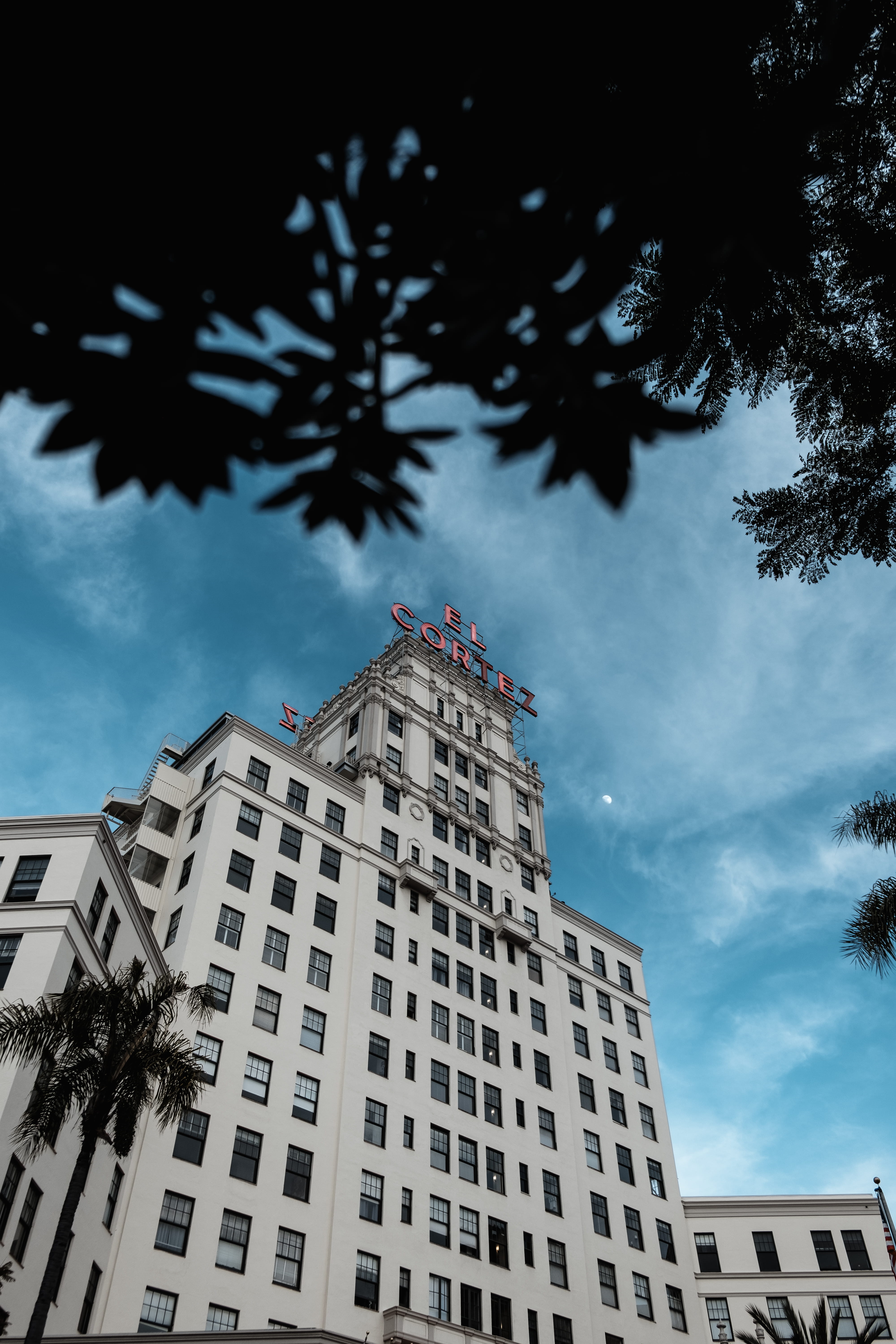 location, tree, building, palm trees, united states, built structure, building exterior, no people, day, growth, el cortez san diego, window, apartment building, Phone HD Wallpaper