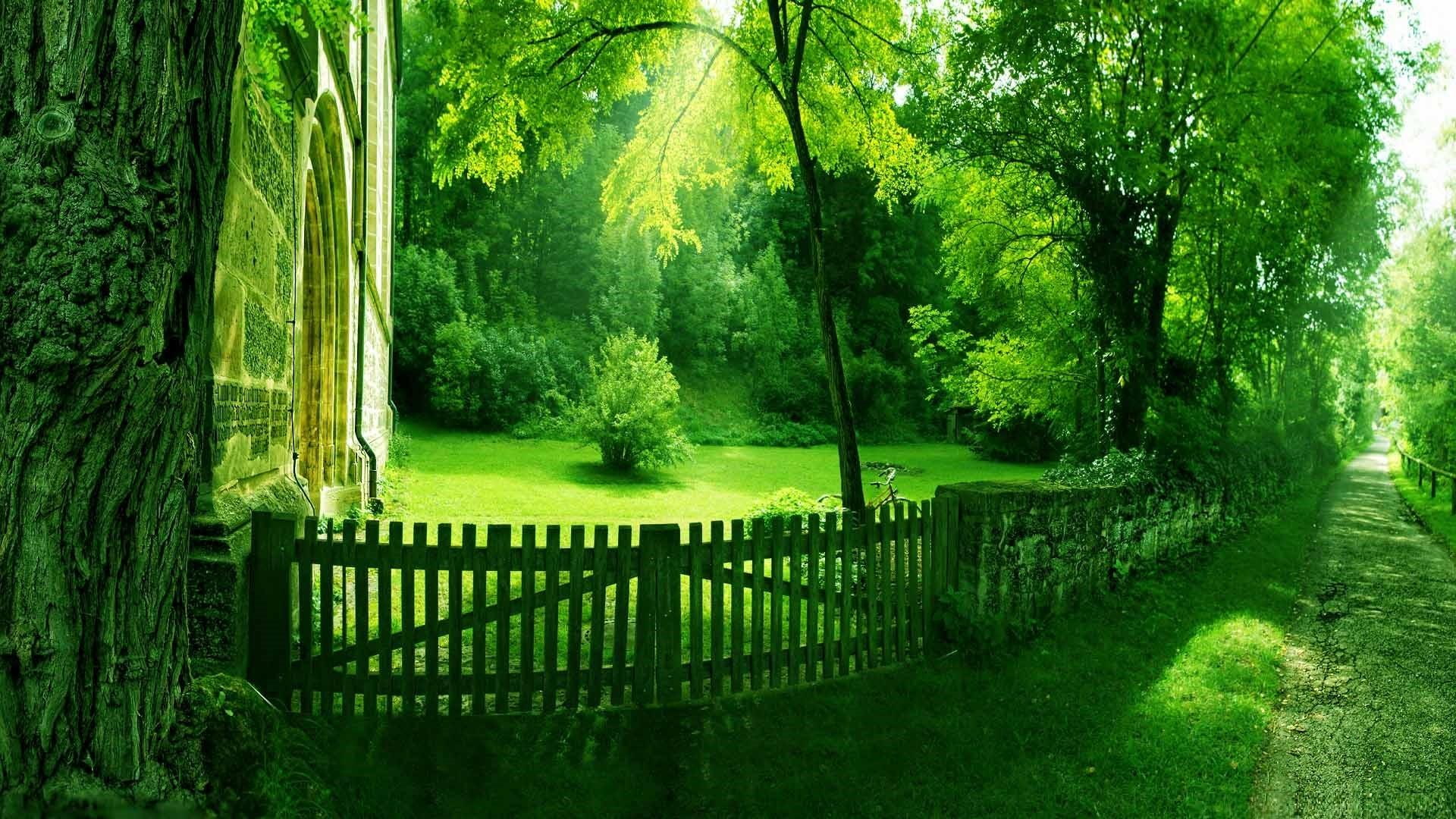 walking path, path, summer, nature, green, 1080P, sun, summer sun, HD Wallpaper