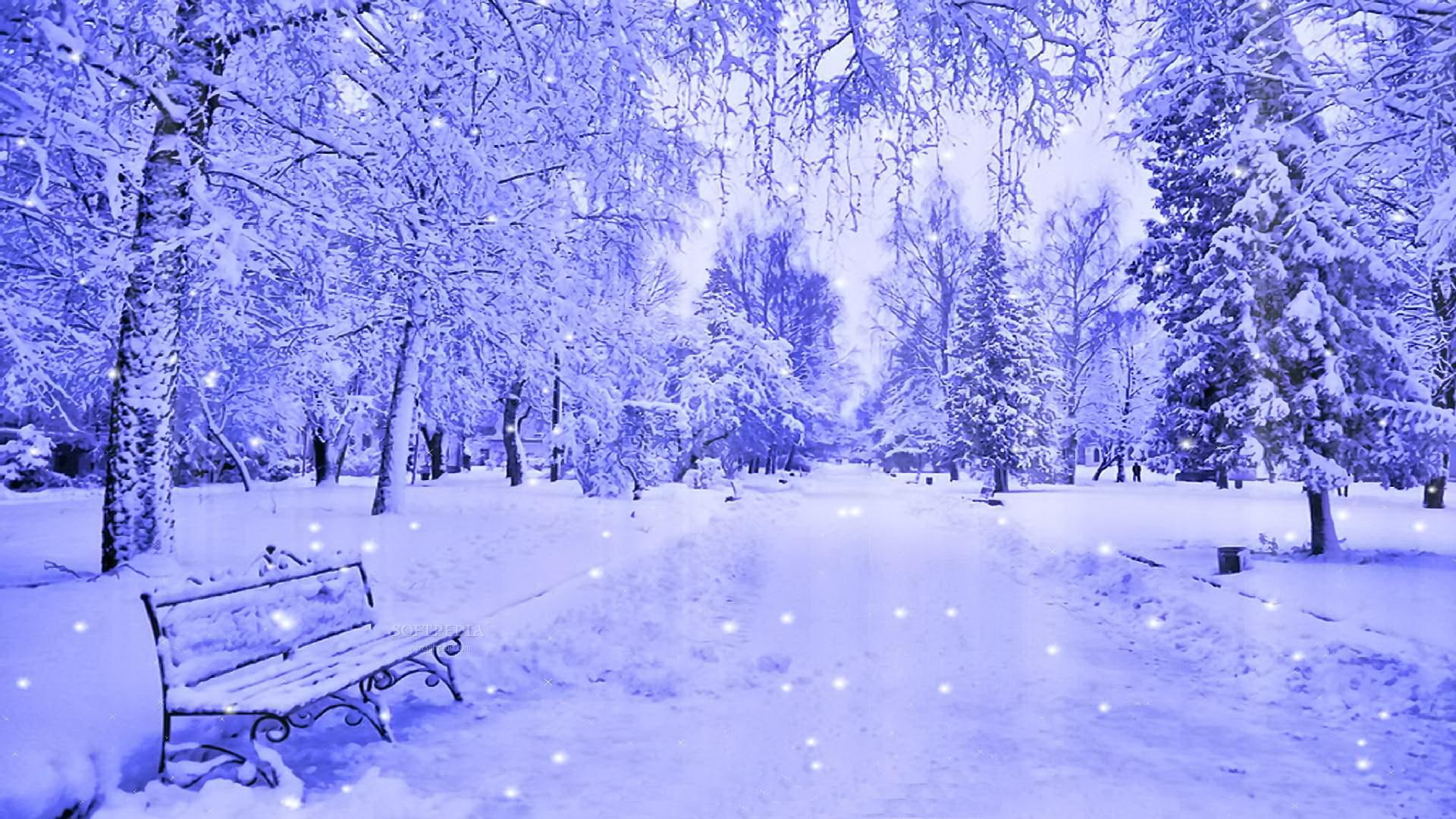 white, nice, snow, bench, snowy, beautiful, winter, rest, cold, calm, trees, snowflakes, 1080P, lovely, alleys, HD Wallpaper