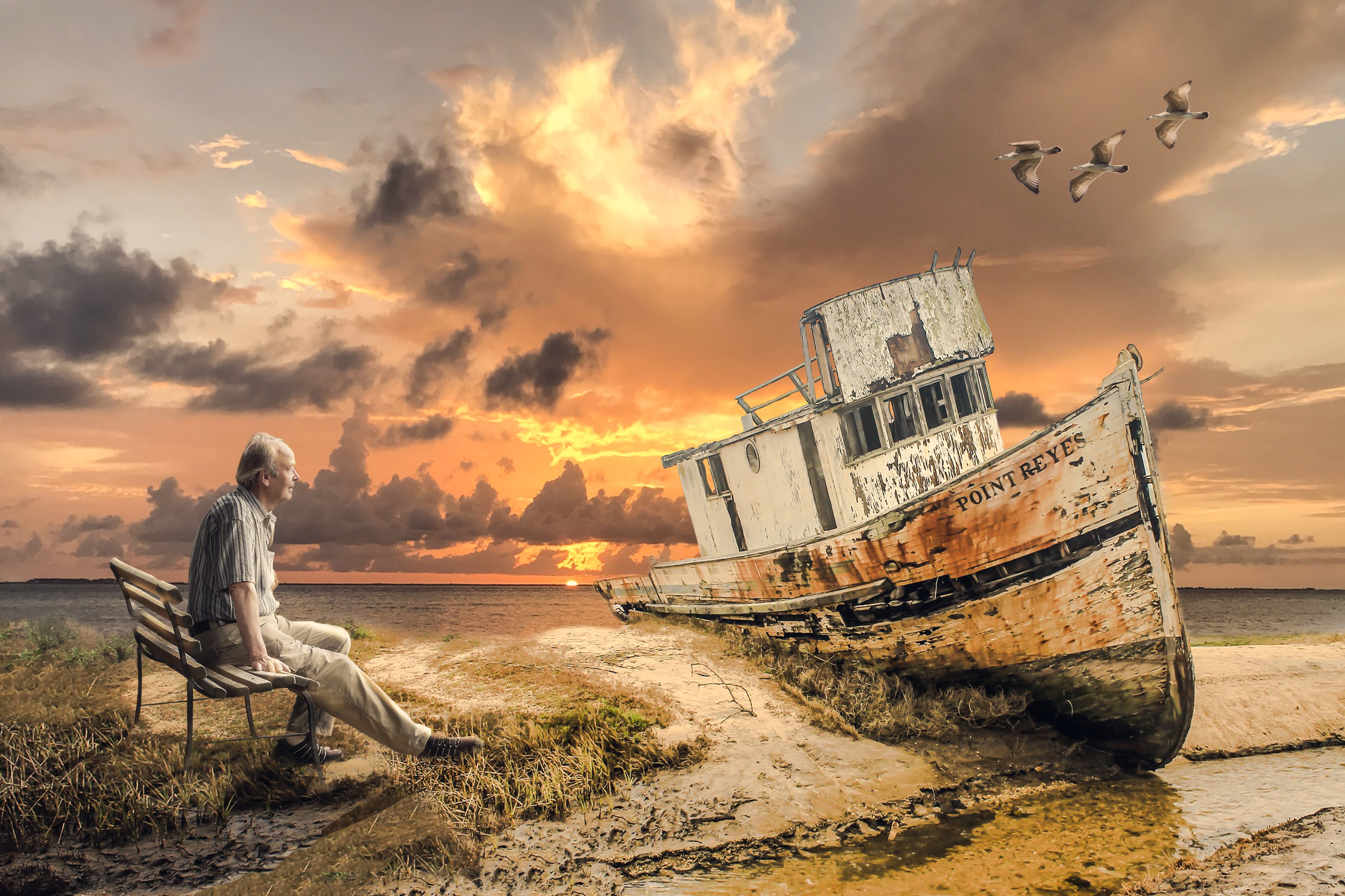 cloud - sky, architecture, land, gulls, walk, recover, waterfowl, 5K, boot, man, landscape, transportation, men, occupation, deterioration, afterglow, HD Wallpaper