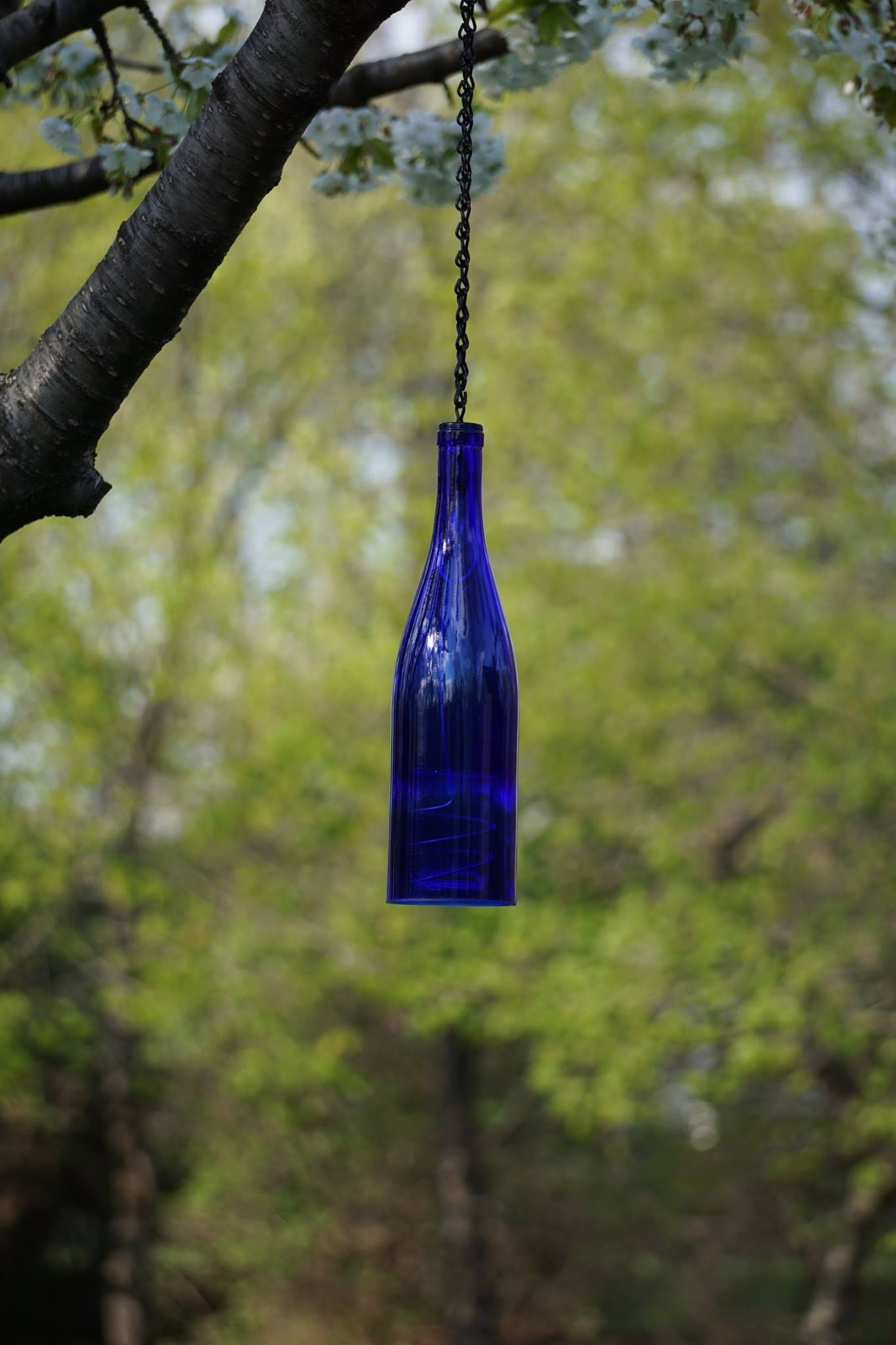 no people, cobalt, container, rope, hanging bottle lantern, green color, close-up, 1080P, focus on foreground, purple, day, decoration, tree, plant, metal, Phone HD Wallpaper