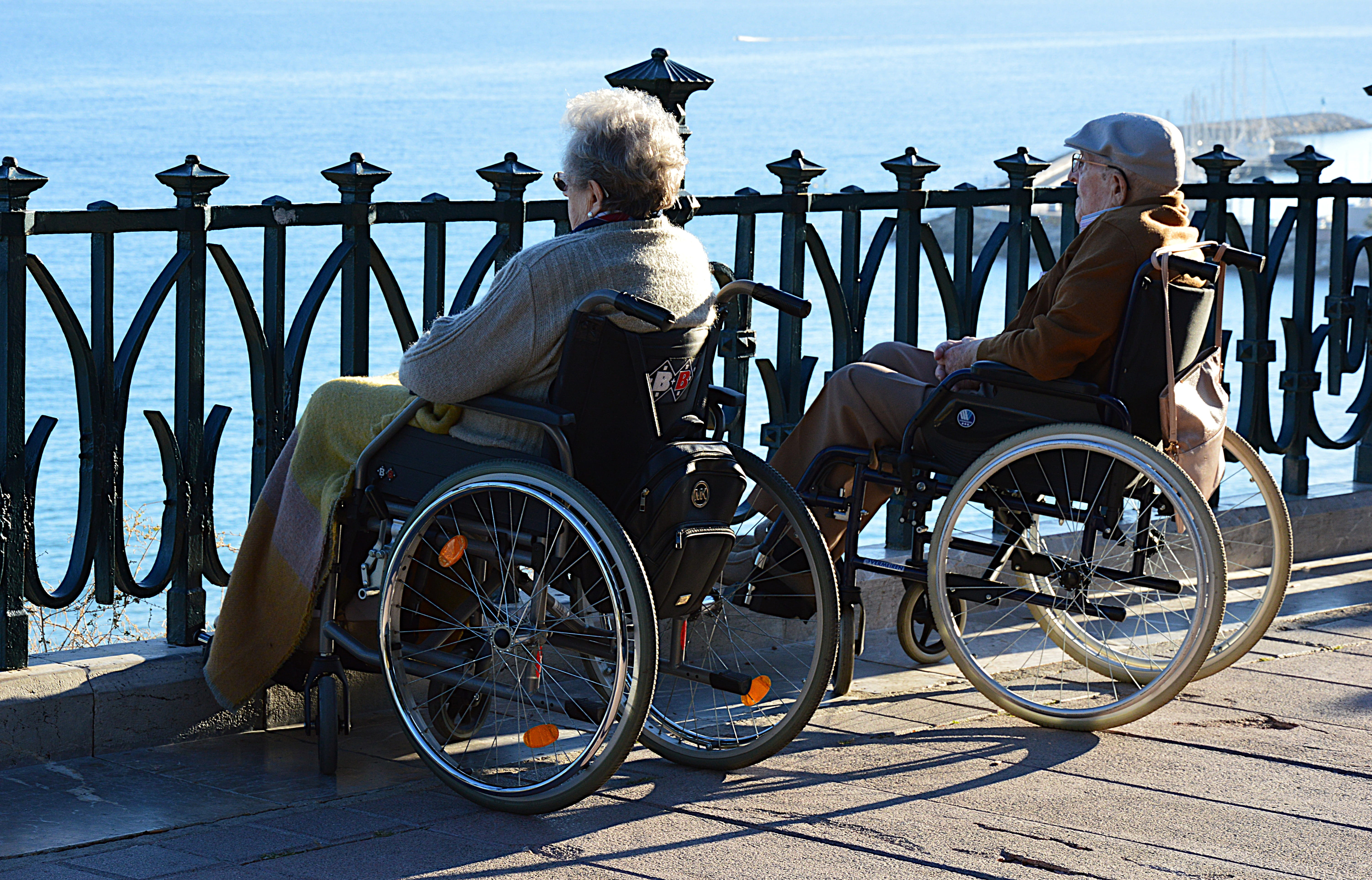 handicap, day, sky, people, 5K, architecture, elderly person, transportation, nature, mode of transportation, senior adult, men, wheelchair, cart, adult, HD Wallpaper