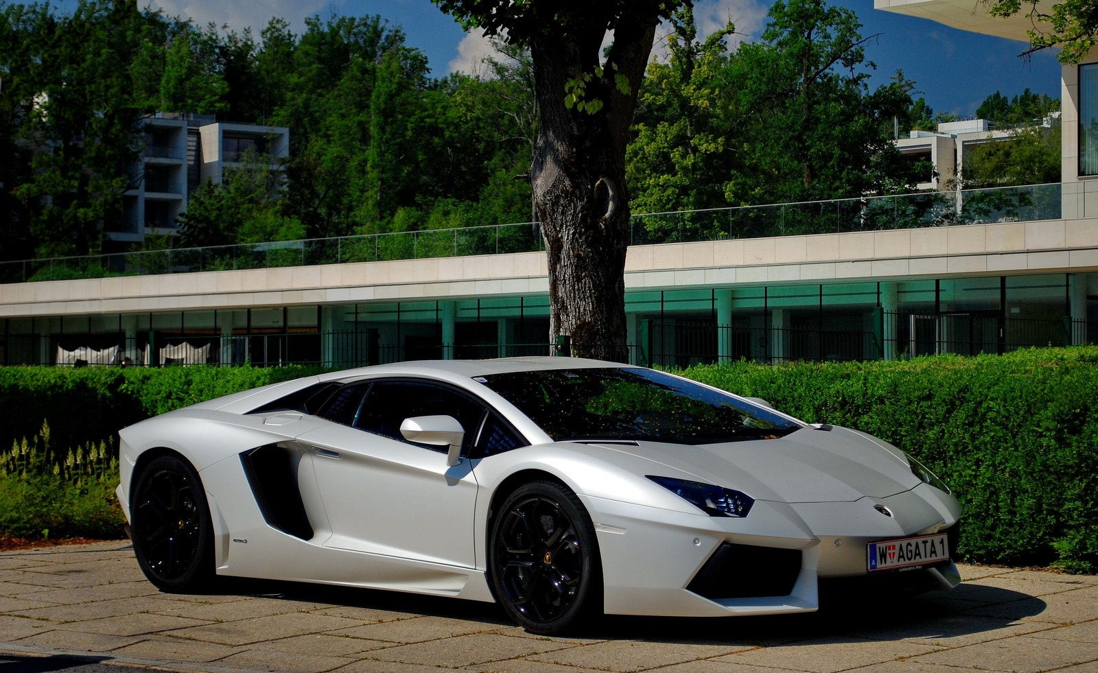 white, black, lamborghini, lp700, blanche, italian, supercars, bleue, cars, 720P, aventador, HD Wallpaper