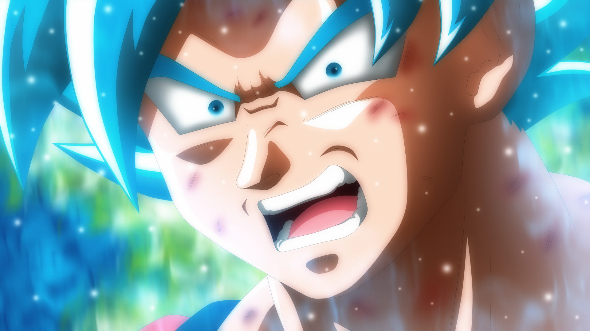 SSGSS Goku, Dragon Ball Super, Goku, 1080P, Dragon Ball, HD Wallpaper