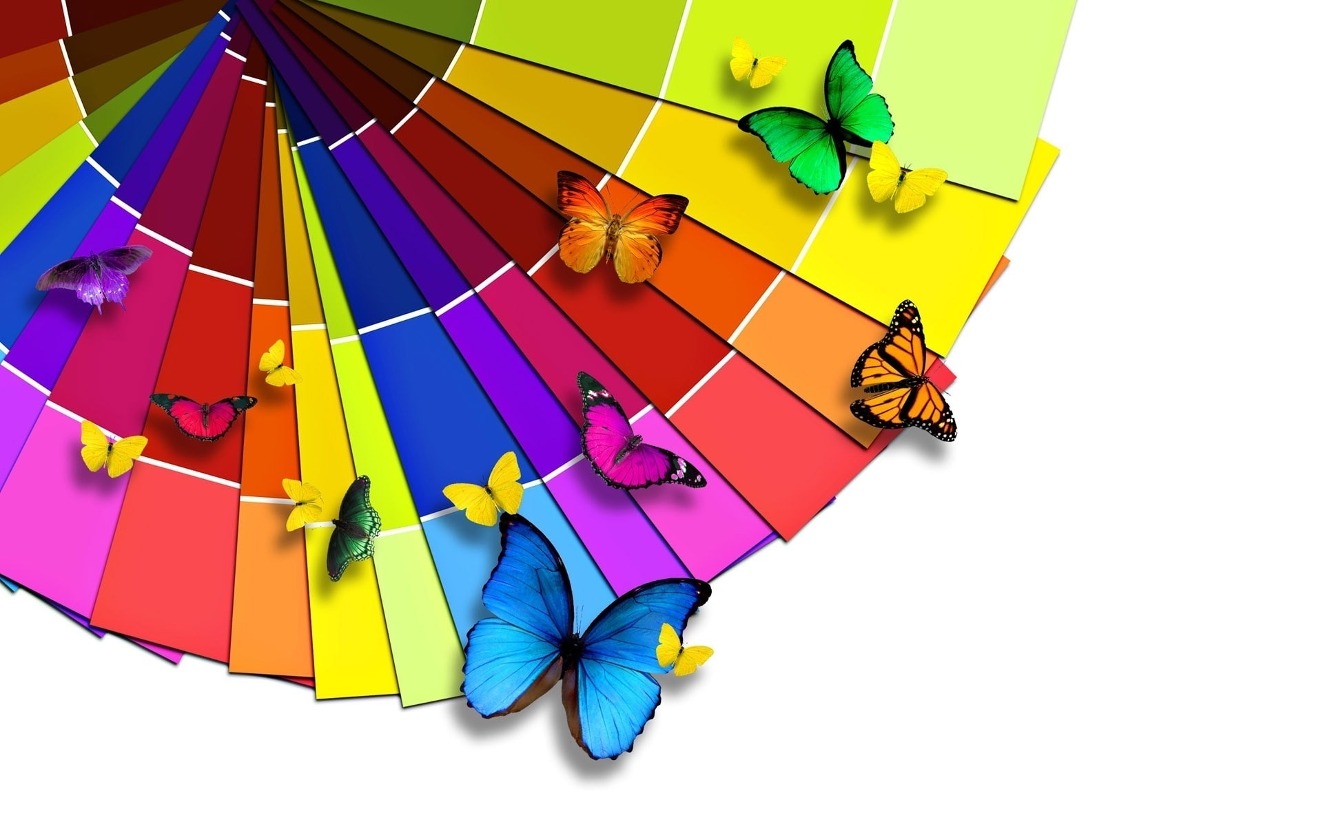 morpho, 1080P, background, blue, range, butterfly, red, colors, buttergly, HD Wallpaper