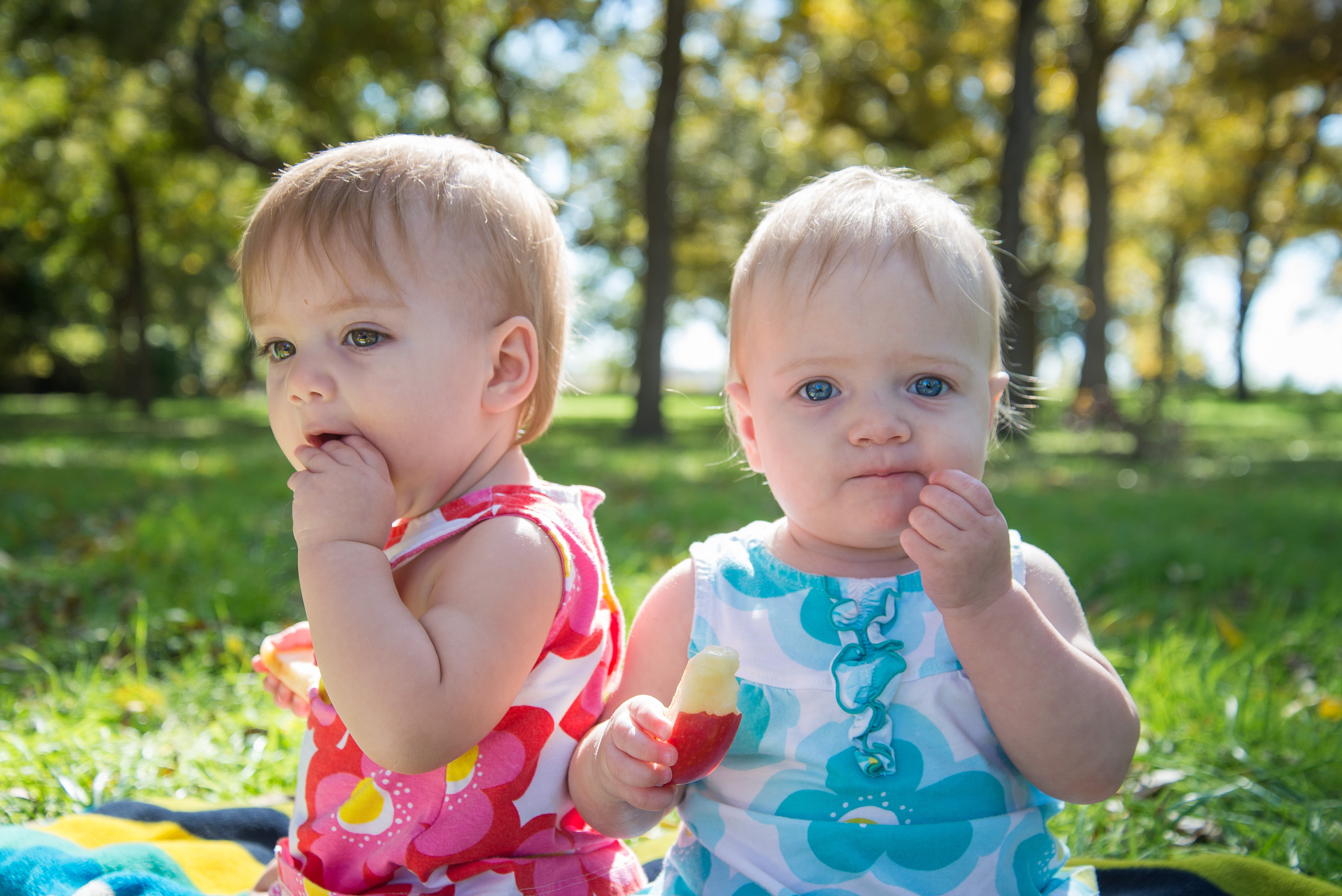 family, baby, child, floral, summer, baby  girl, fun, grass, childhood, joy, print, outdoors, apples, two, apple, people, Twins, babies, close-up, caucasian Ethnicity, HD Wallpaper