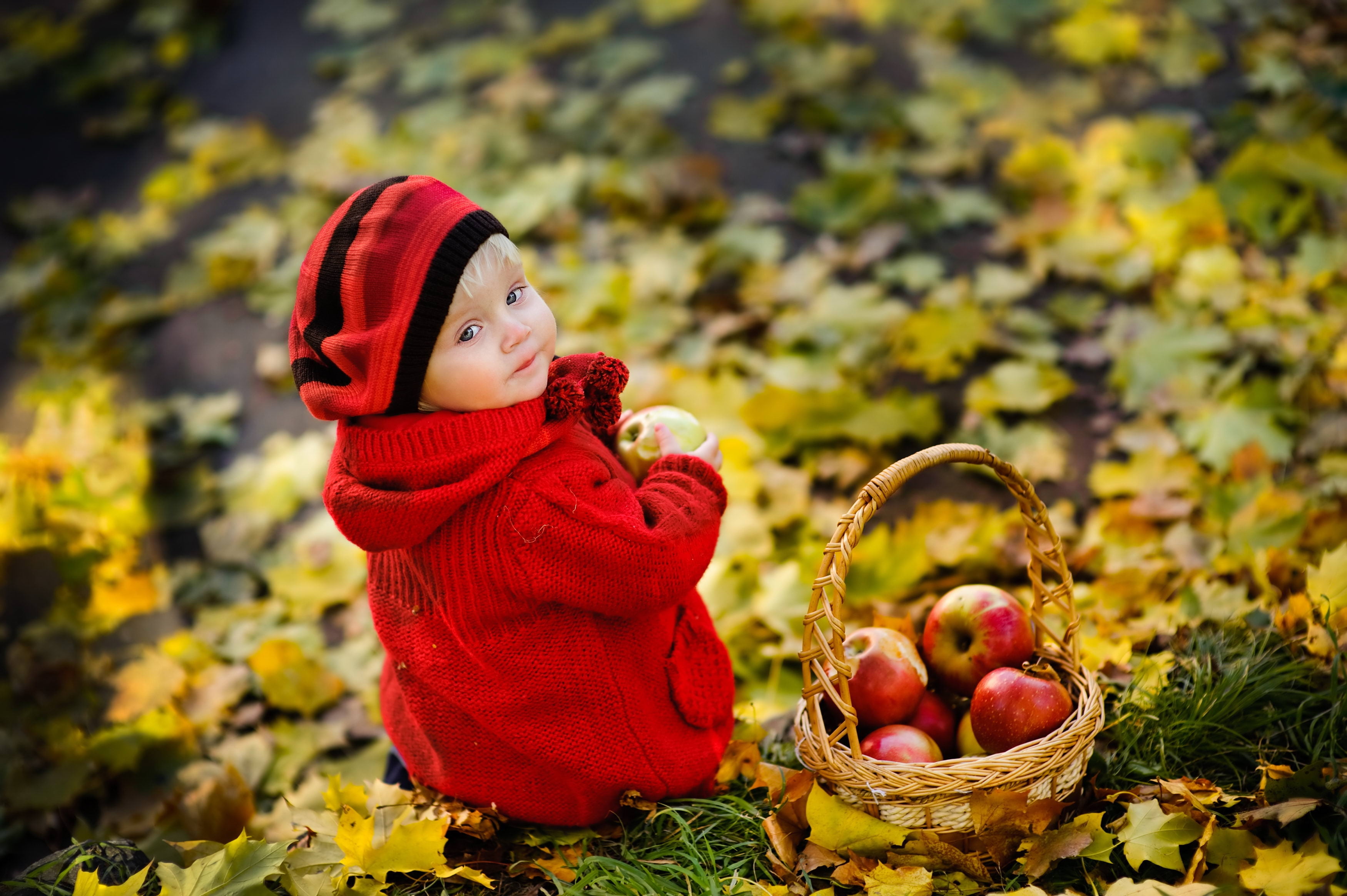 tree, women, focus on foreground, warm clothing, basket, food and drink, people, october, coat, orange Color, enjoyment, beautiful, joy, freshness, baby, HD Wallpaper