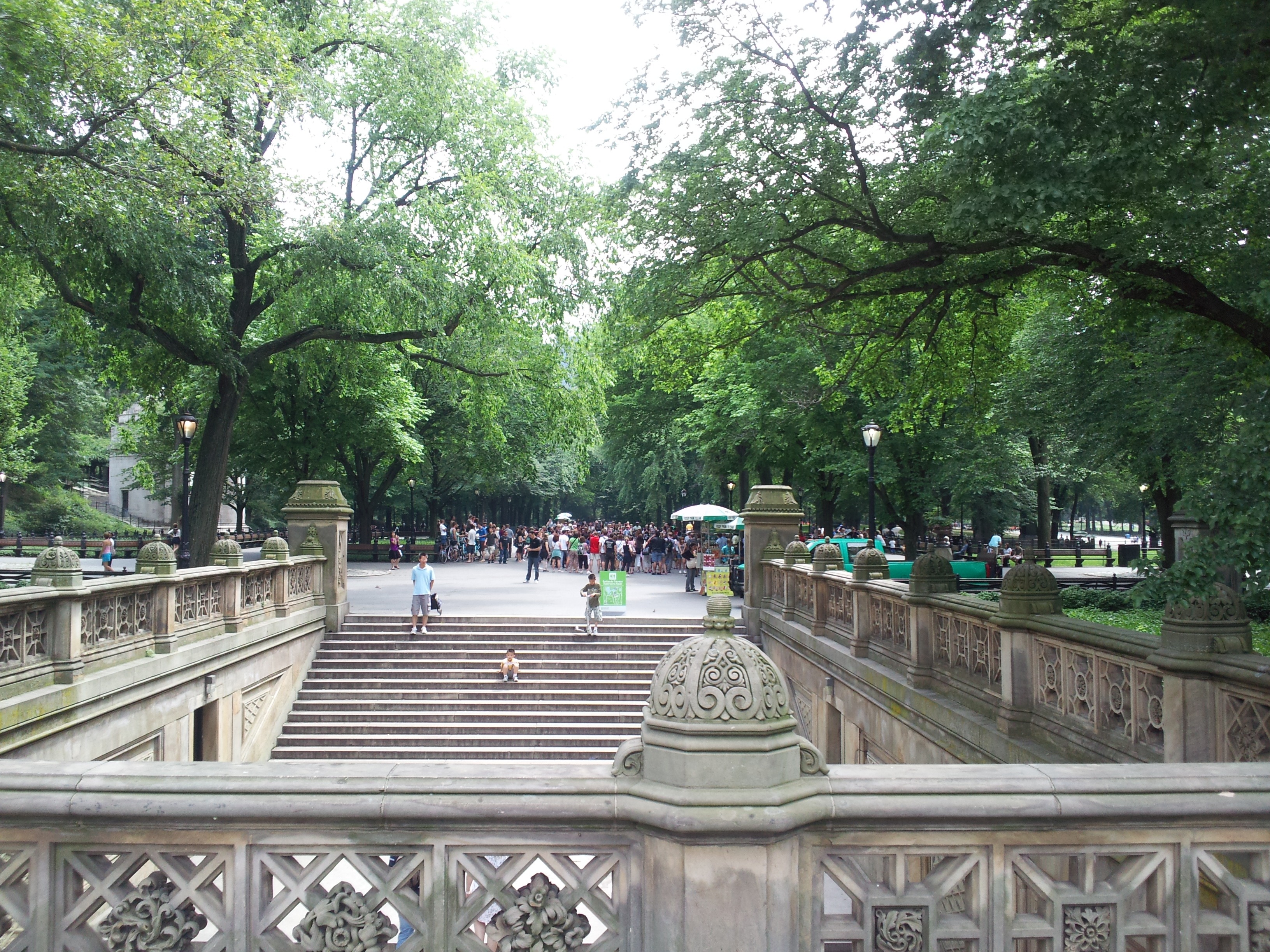 plant, america, women, american, incidental people, midtown, metropolis, scenic, adult, urban, group of people, railing, scenery, park, architecture, nature, HD Wallpaper