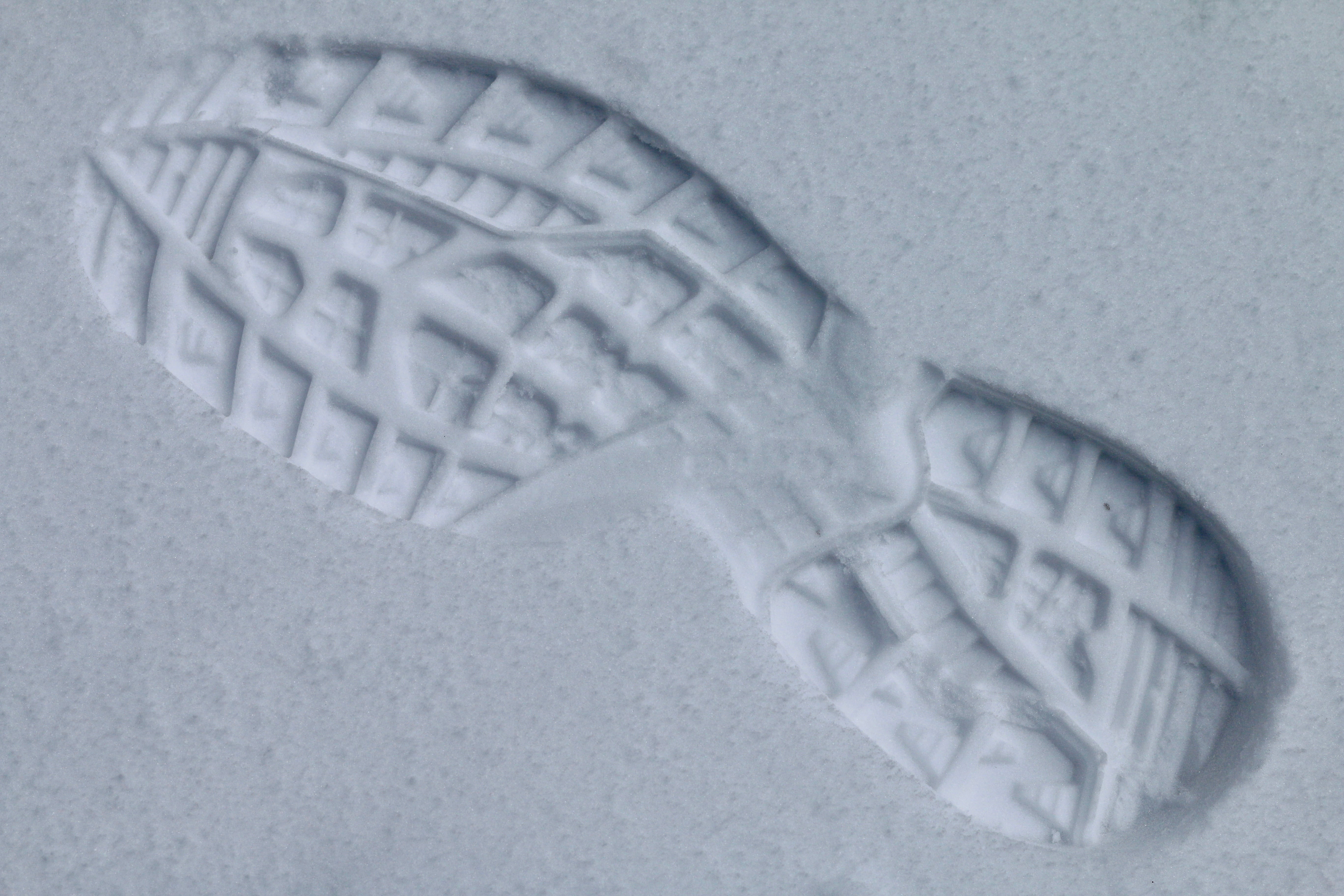 education, print, day, biochemistry, in the snow, trace, shoe, 5K, microbiology, photo, bone, technology, close, healthcare and medicine, shoe sole profile, HD Wallpaper