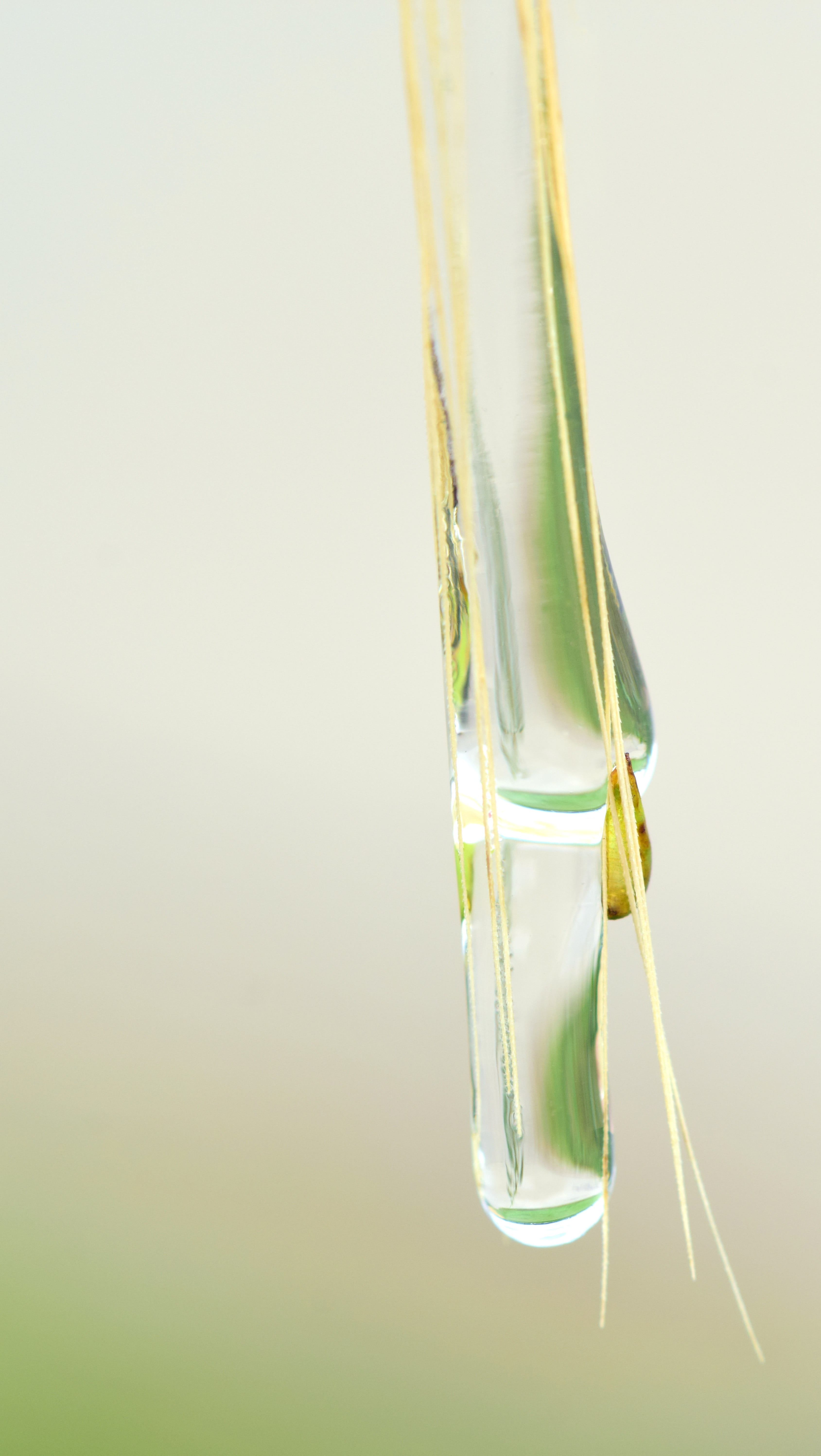 research, indoors, laboratory, clear, any drip, close-up, science, mirroring, studio shot, copy space, glass - material, peaceful, background, scientific experiment, Phone HD Wallpaper