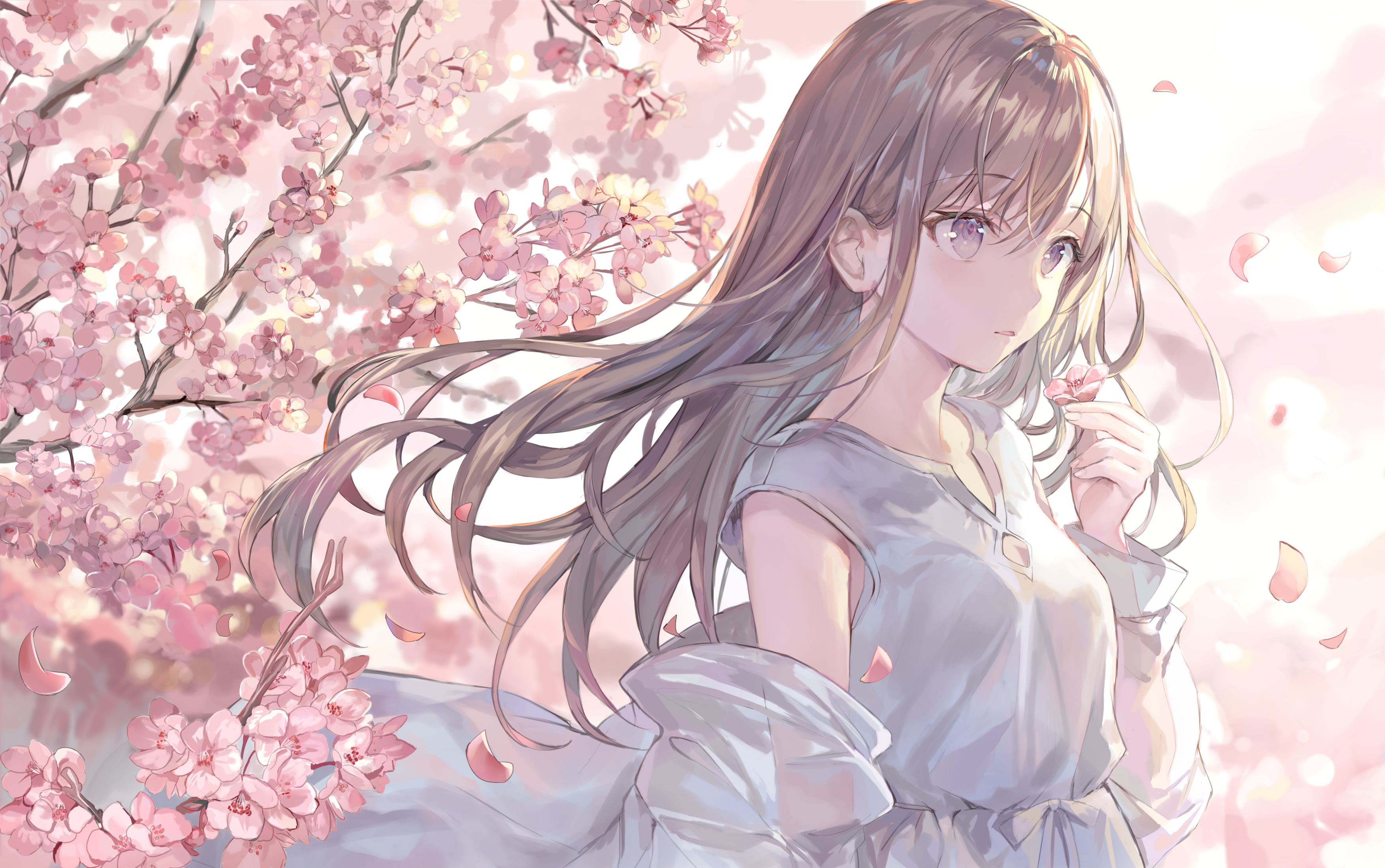 Long Hair, Original, 2K, Brown Hair, Anime, Cherry Blossom, HD Wallpaper