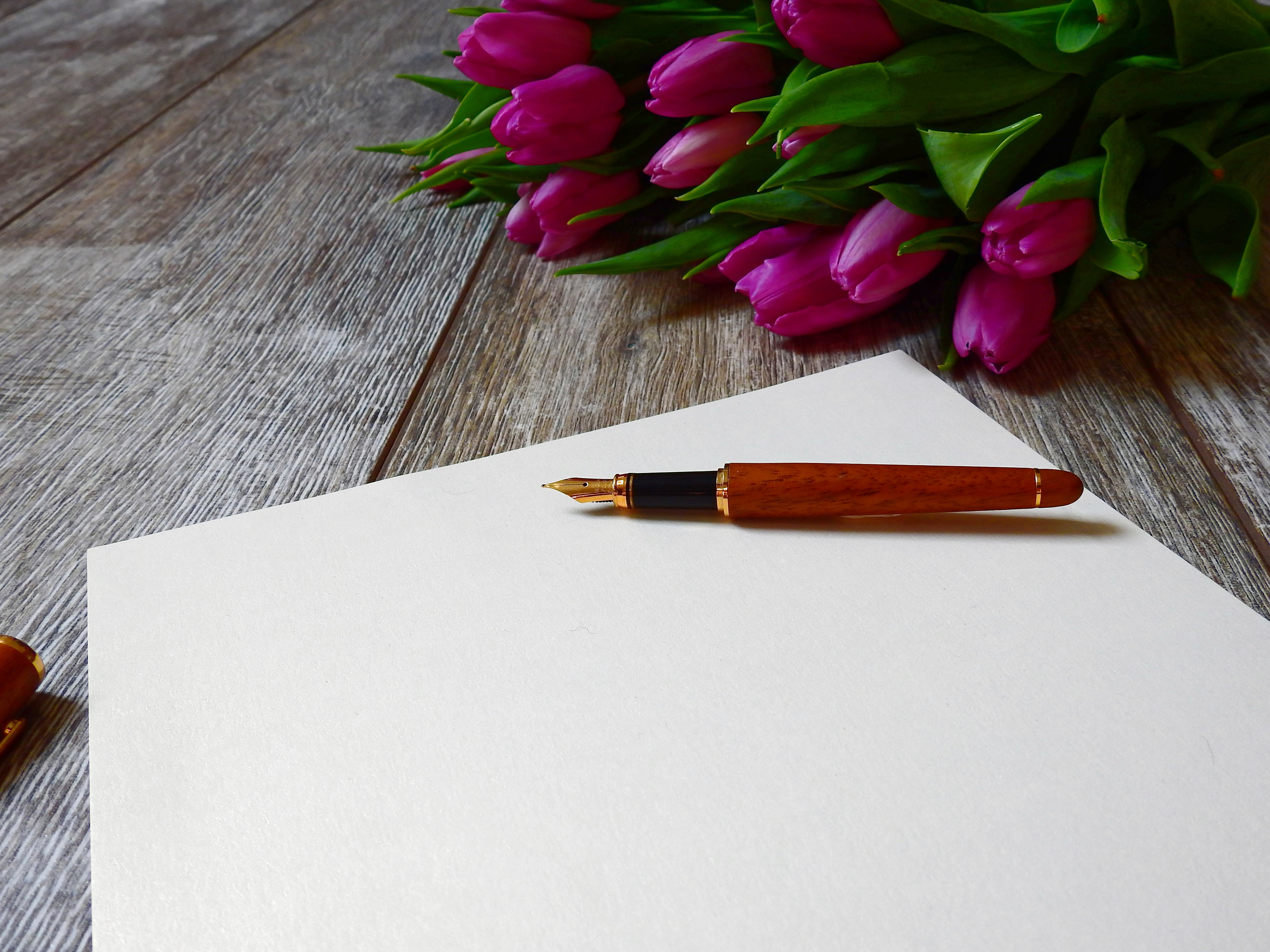 plant, near, tulips, no people, ink, nature, blank, flowering plant, communication, flower arrangement, leave, fragility, letters, romantic, pink, table, HD Wallpaper