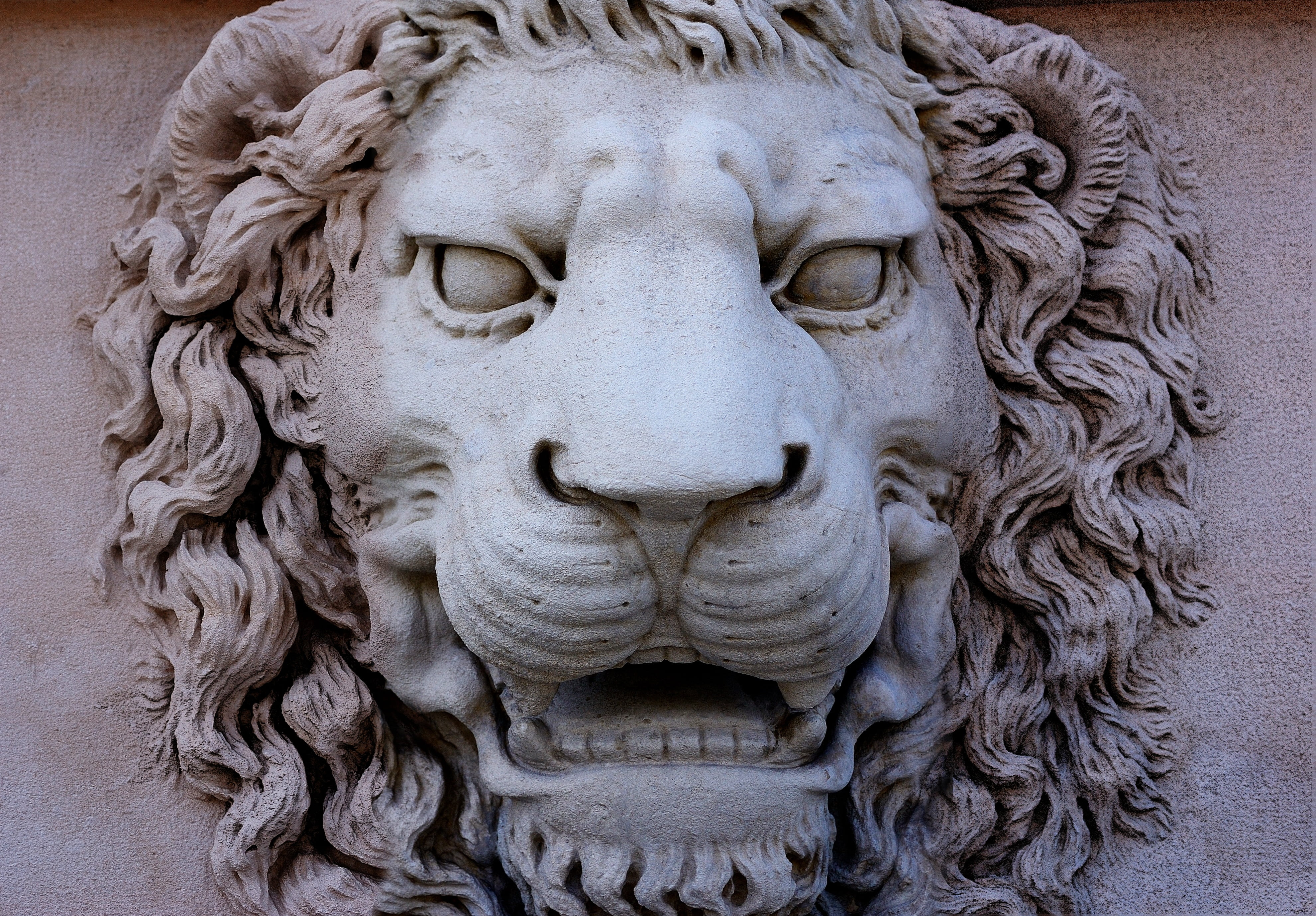 day, stone, roar, works, wall - building feature, sculpture, craft, mouth, monument, history, art and craft, marble, no people, feline, leo, architecture, HD Wallpaper
