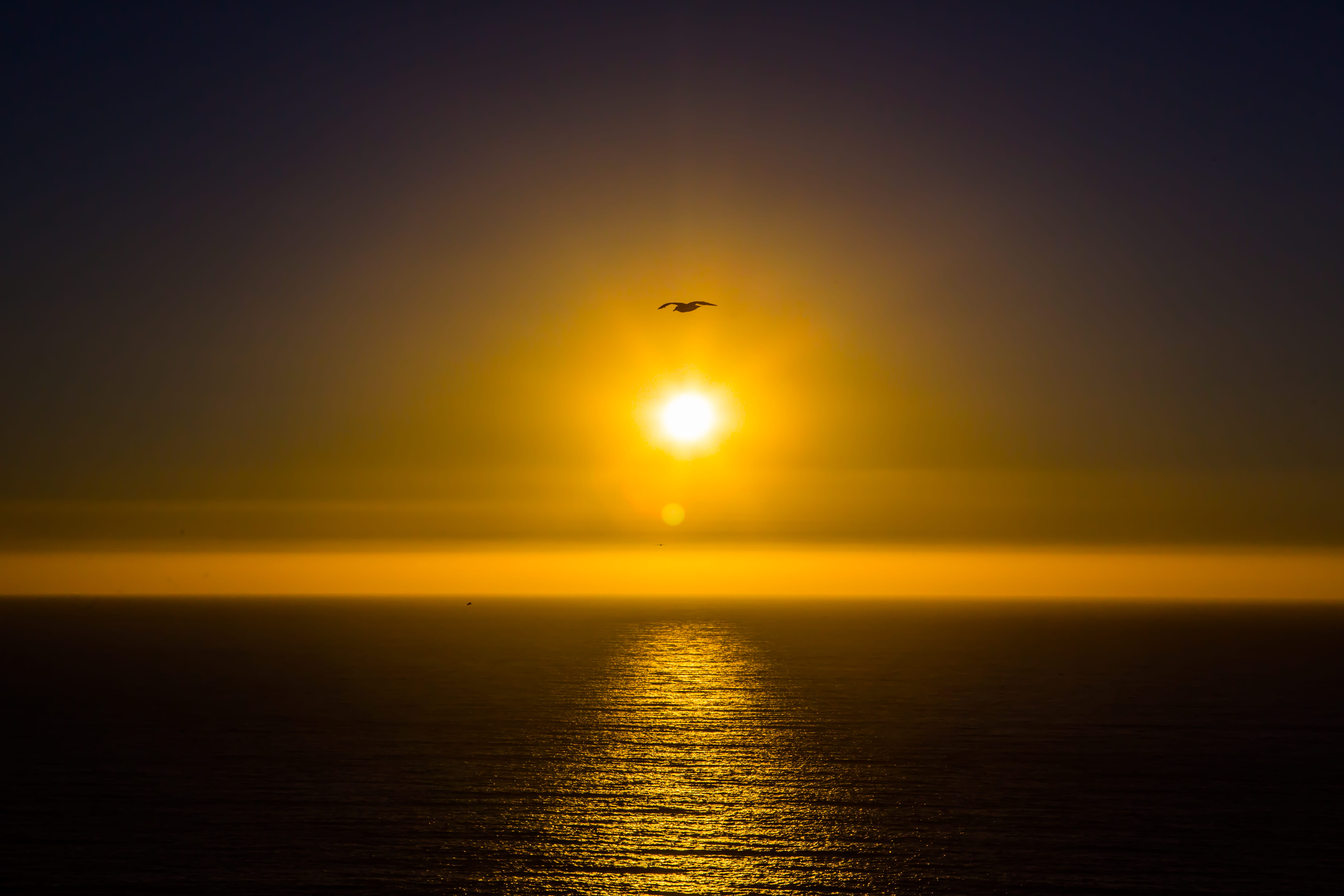 tranquil scene, 5K, calm, animal themes, no people, beauty in nature, dawn, sunrise, sunset, light, flare, orange color, dusk, horizon over water, sky, HD Wallpaper