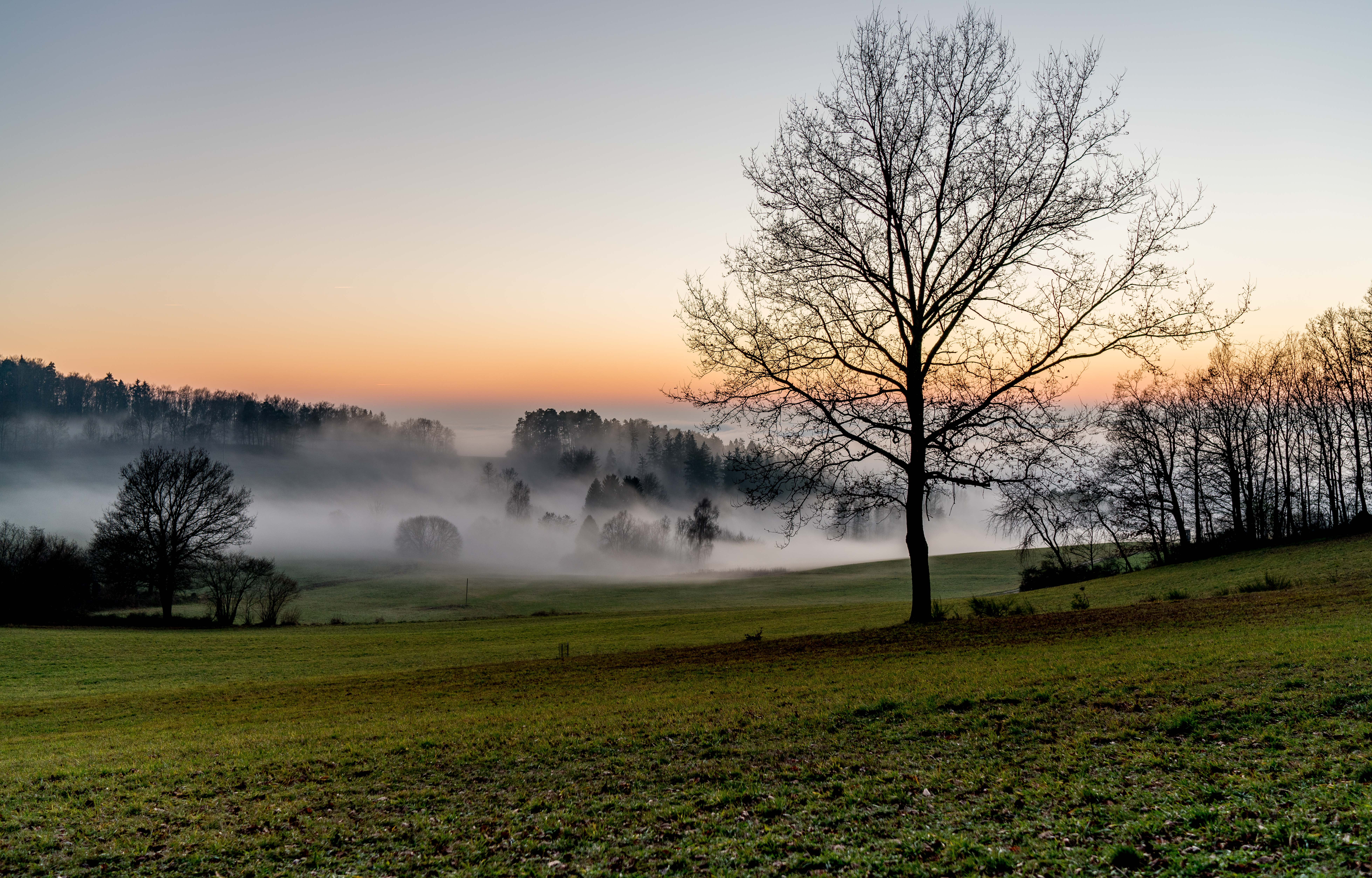 landscape, green fields, oberpfalz, pro, tree, autumn, Bayern, europa, landscape photography, green, grass, Beauty, fog, full  frame, upper  palatinate, HD Wallpaper
