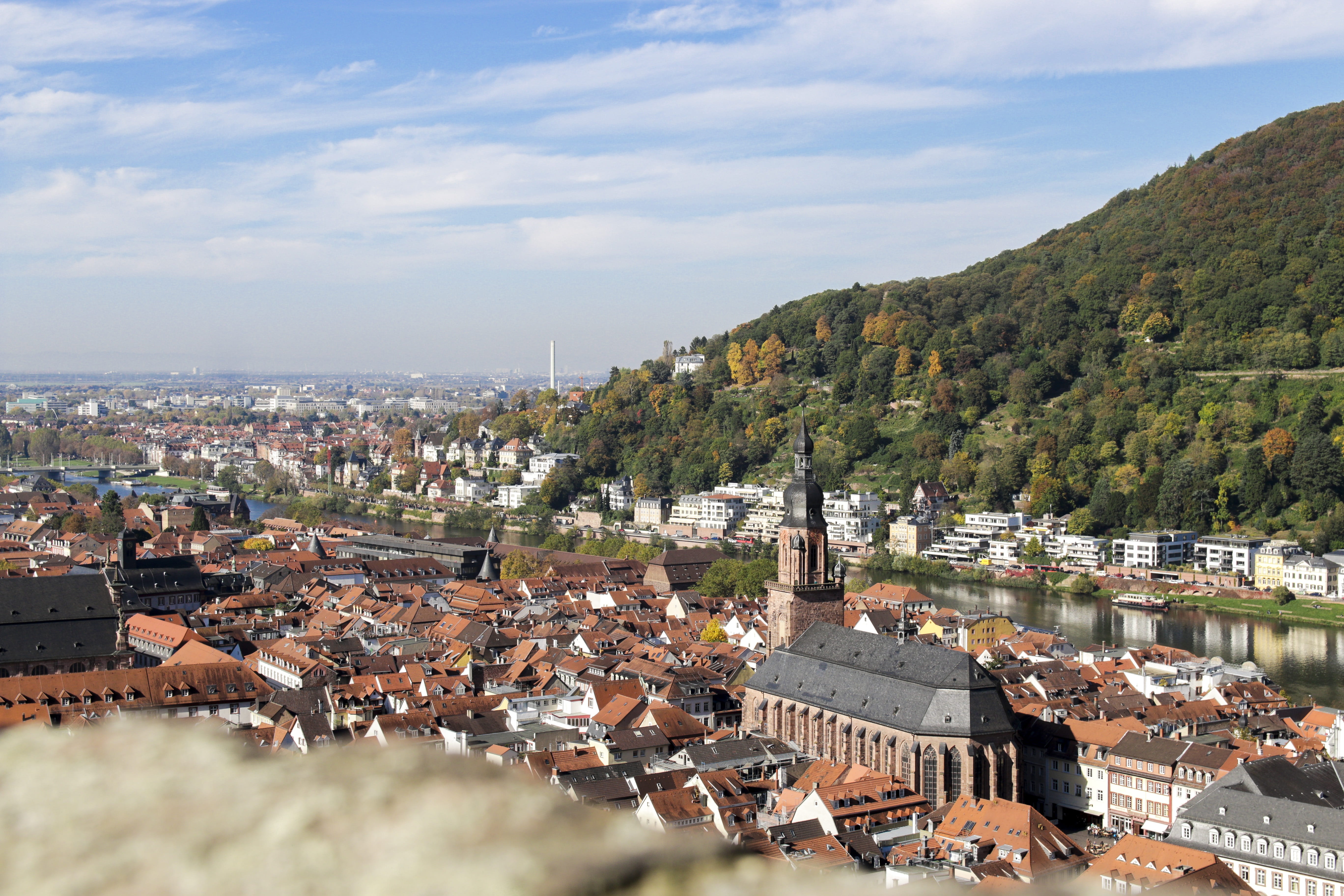 historically, townscape, built structure, house, cityscape, palatinate, baroque, home decor, architecture, town, view, crowd, water, castle, building, church, HD Wallpaper
