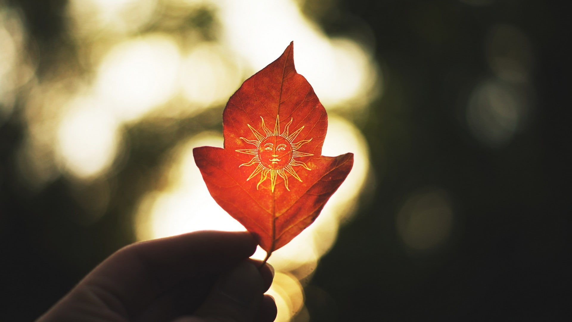 1080P, leaves, red leaves, drawing, hands, Sun, HD Wallpaper