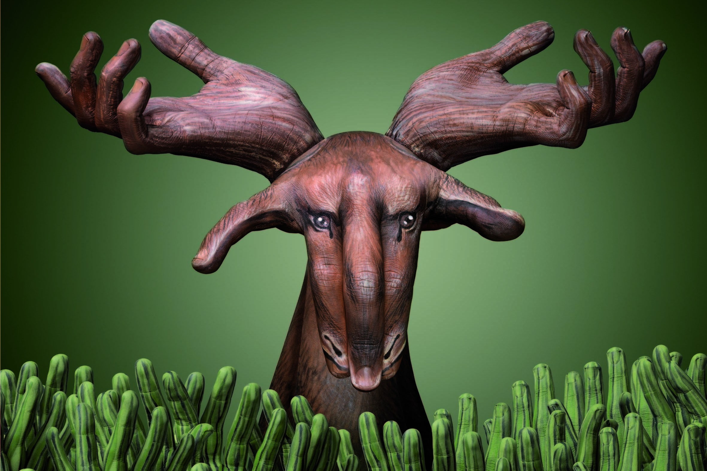 1080P, hands, drawing, deer, animals, HD Wallpaper