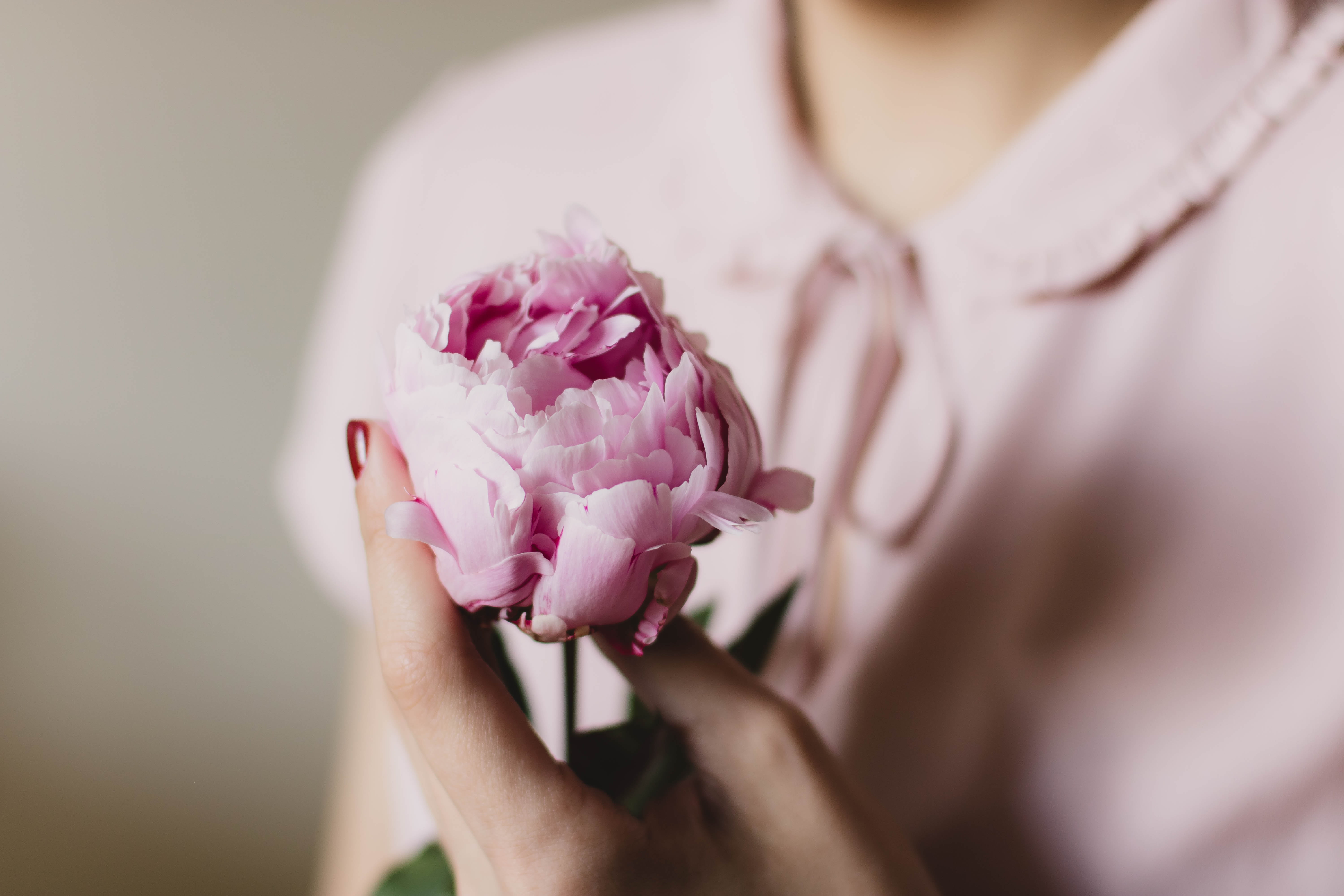 focus, pink color, vulnerability, flowering plant, freshness, woman, bust, nature, human hand, selective, plant, flowers, close-up, people, hold, flower, HD Wallpaper