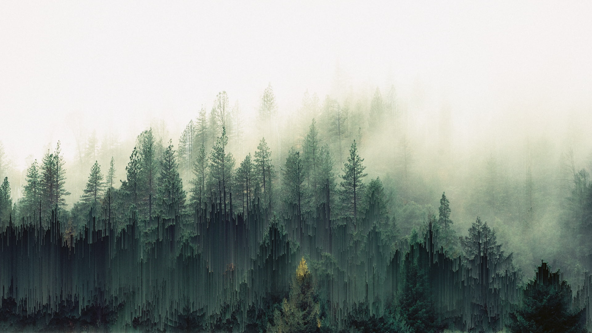trees, mist, pixel sorting, forest, 1080P, HD Wallpaper