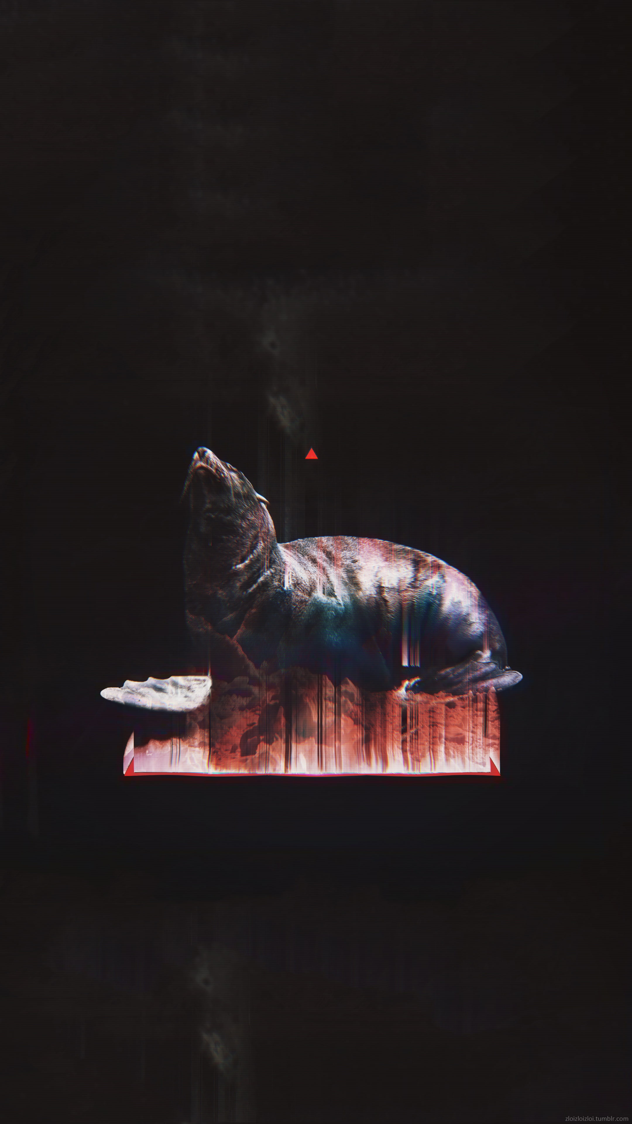 no people, glitch art, abstract, food and drink, indoors, vertebrate, animal, copy space, food, seals, animal wildlife, animals in the wild, nature, black background, Phone HD Wallpaper