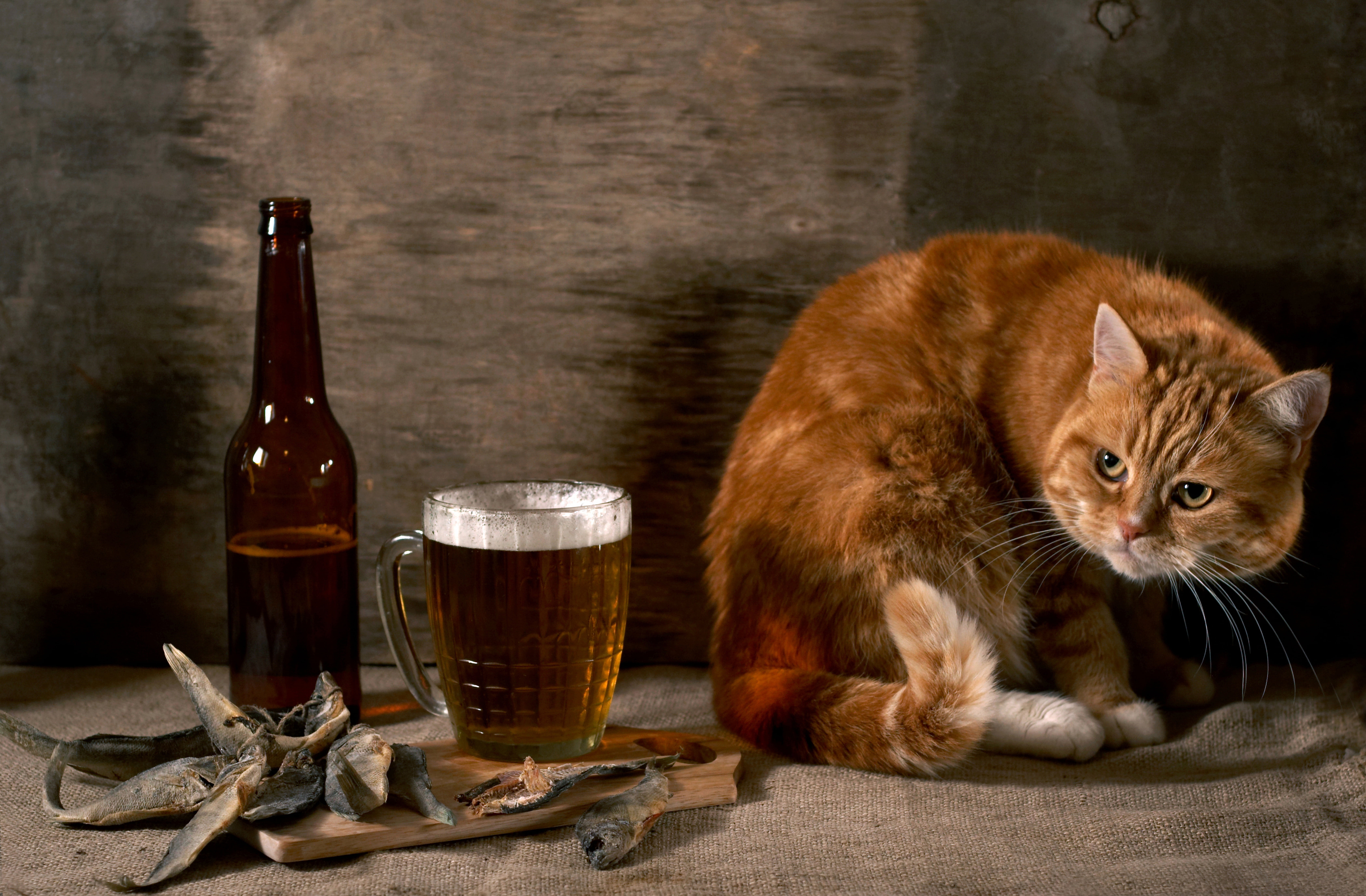 food, domestic Cat, household equipment, domestic, drinking Glass, bottle, tabby, drinking, pint glass, animal, refreshment, wood - Material, brown, suspicious, HD Wallpaper
