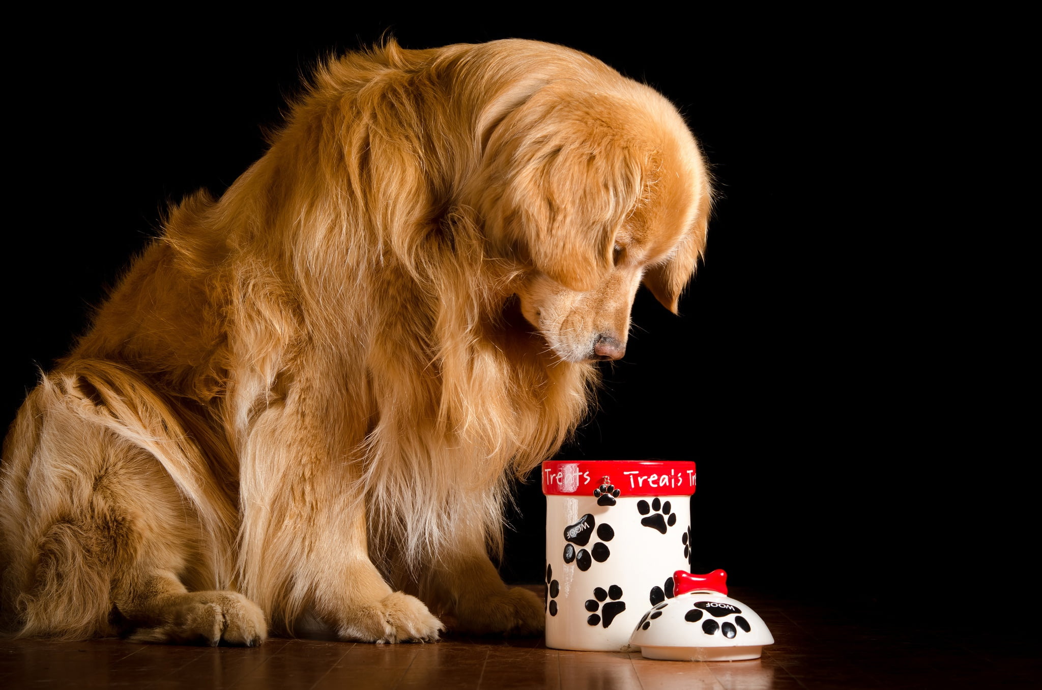 sitting, Golden, cover, dog, on the floor, 1080P, Retriever, red, sad, black background, Bank, HD Wallpaper