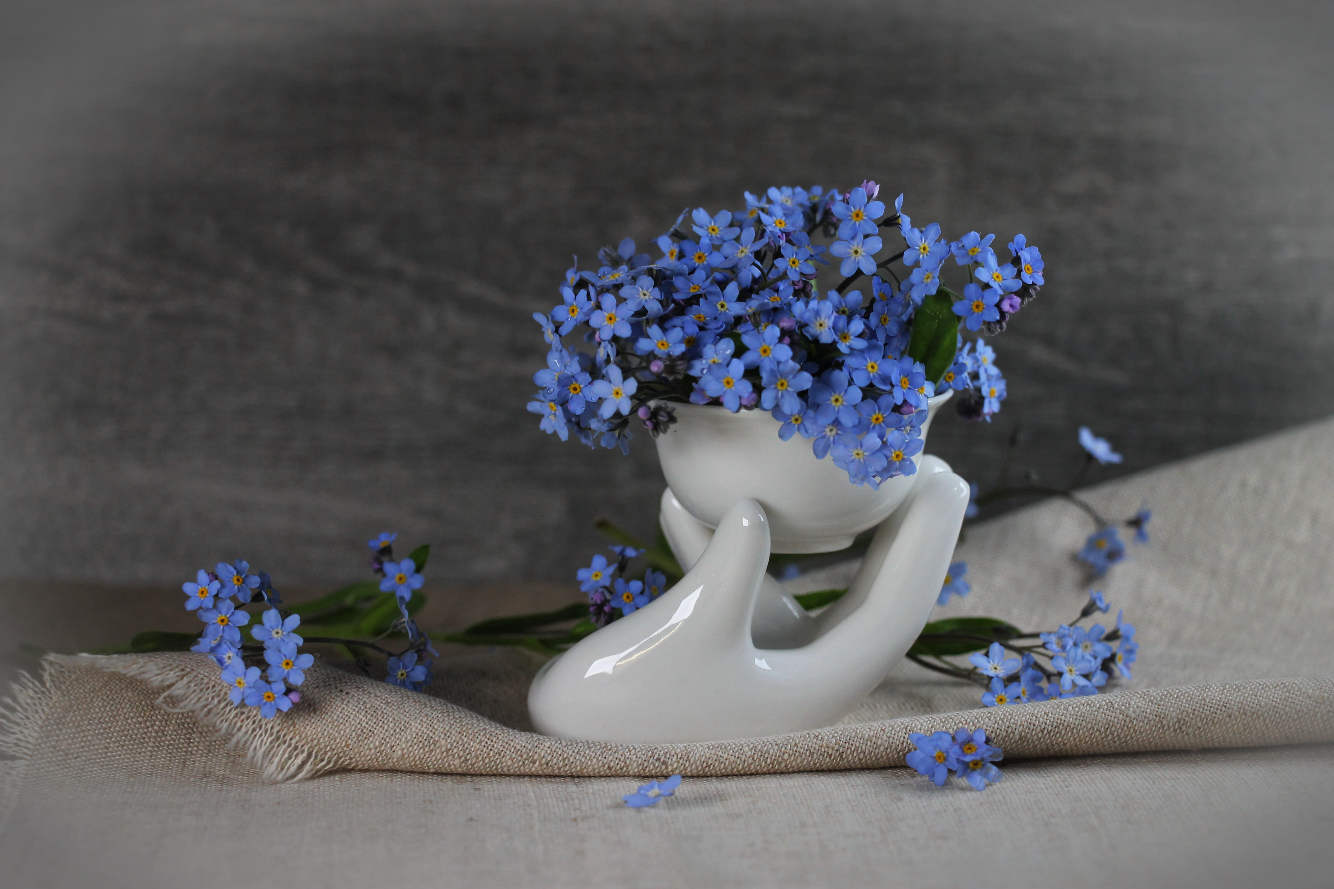 small flowers, blue flowers, small bouquet, forget-me-nots, flowers, a bouquet of flowers, burlap, porcelain, 4K, minbucket, HD Wallpaper