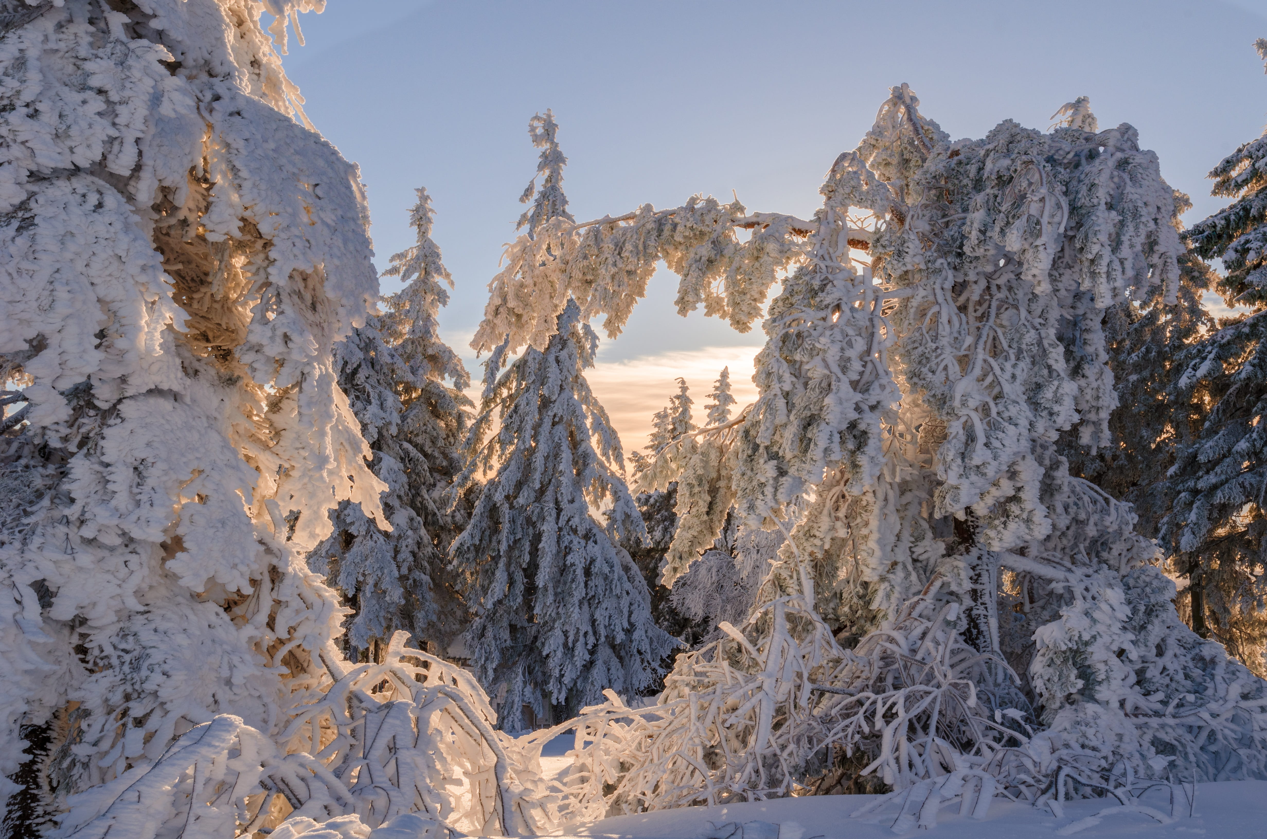 winter, tranquil scene, snowy, sky, outdoors, snowcapped mountain, mountain peak, rau, covered, landscape, blue, wintry, winter bushes, rock, scenics, snow, HD Wallpaper