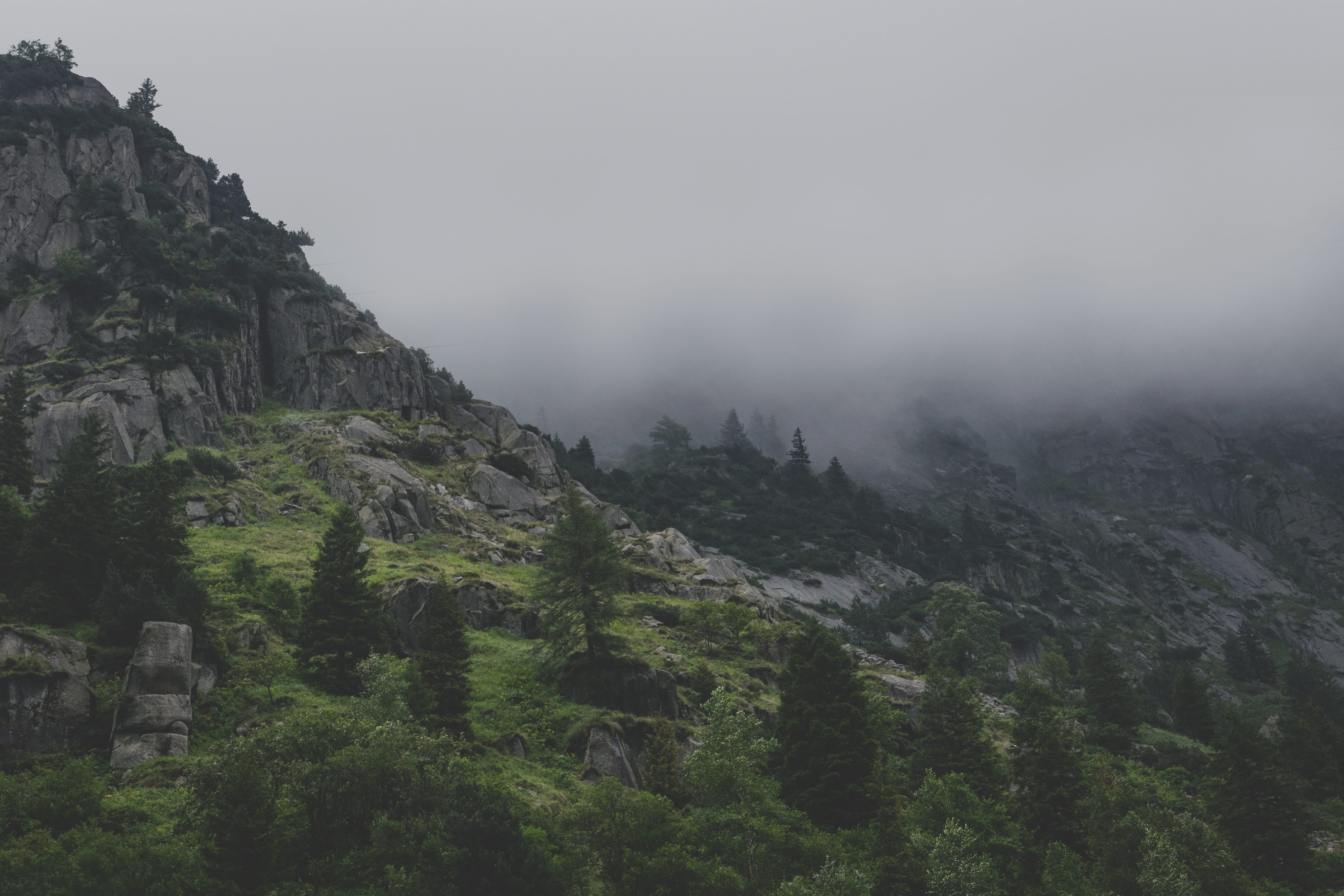 beauty in nature, mountain, non-urban scene, rauh, day, oppressive, rock - Object, pine tree, photo, coniferous tree, plant, fog, land, clouds, tree, rock, HD Wallpaper