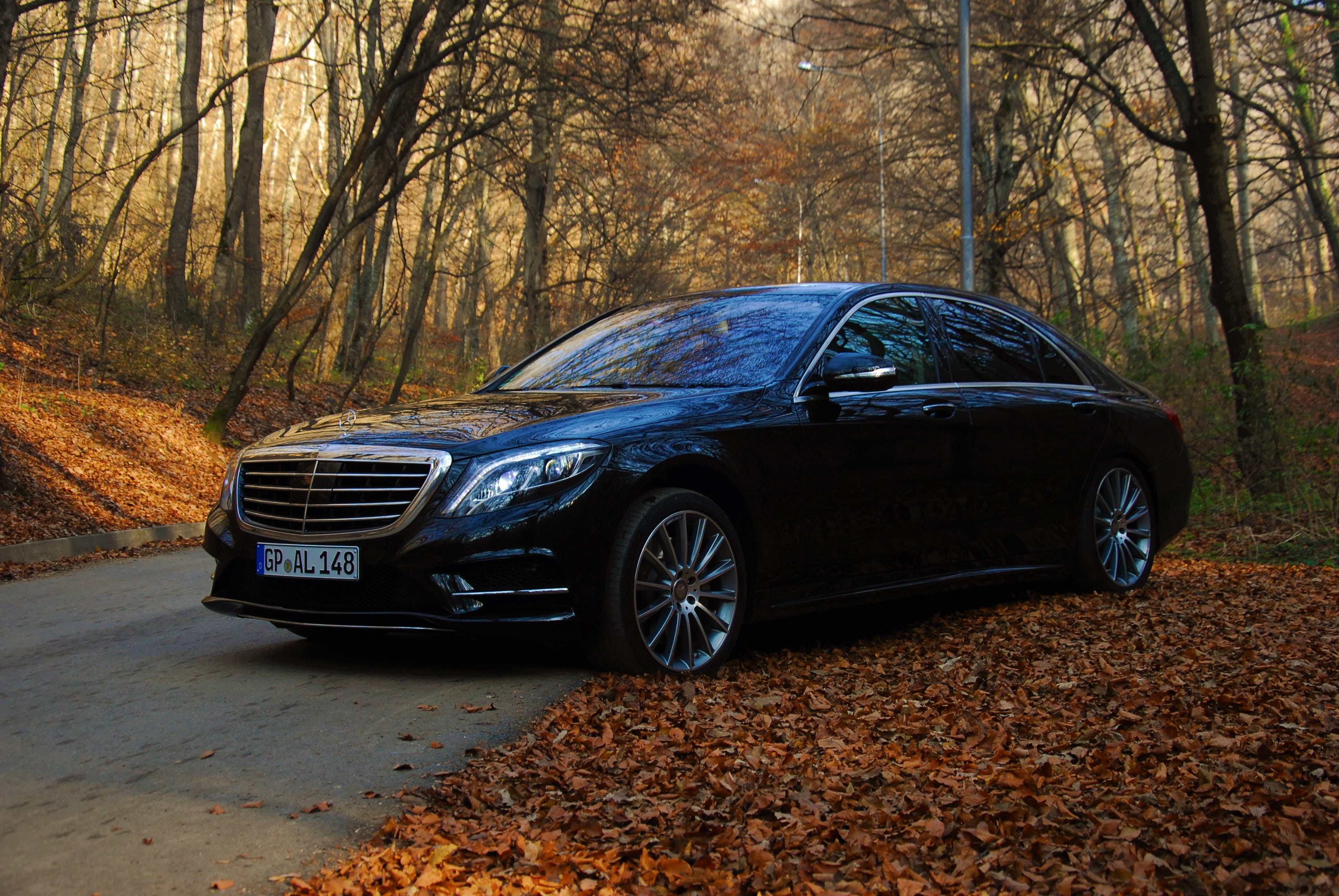 leaf, tree, vehicle, autumn, no people, 4K, daytime, transportation, outdoors, nature, woodland, plant, mode of transportation, sedan, motor vehicle, car, HD Wallpaper