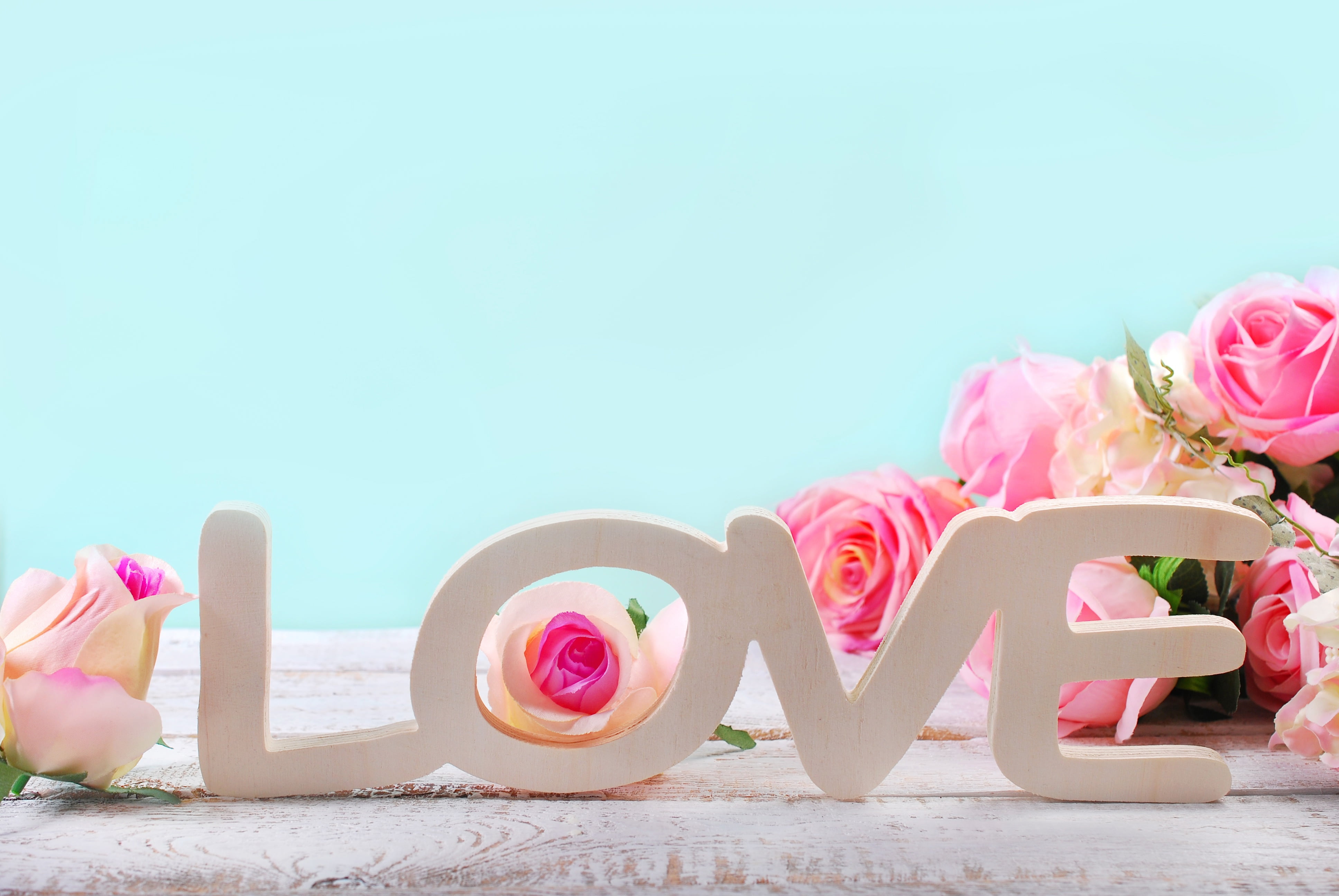 copy space, flower, no people, outdoors, blue, plant, flowering plant, beauty in nature, rose - flower, emotion, flowers, valentines day - holiday, celebration, HD Wallpaper