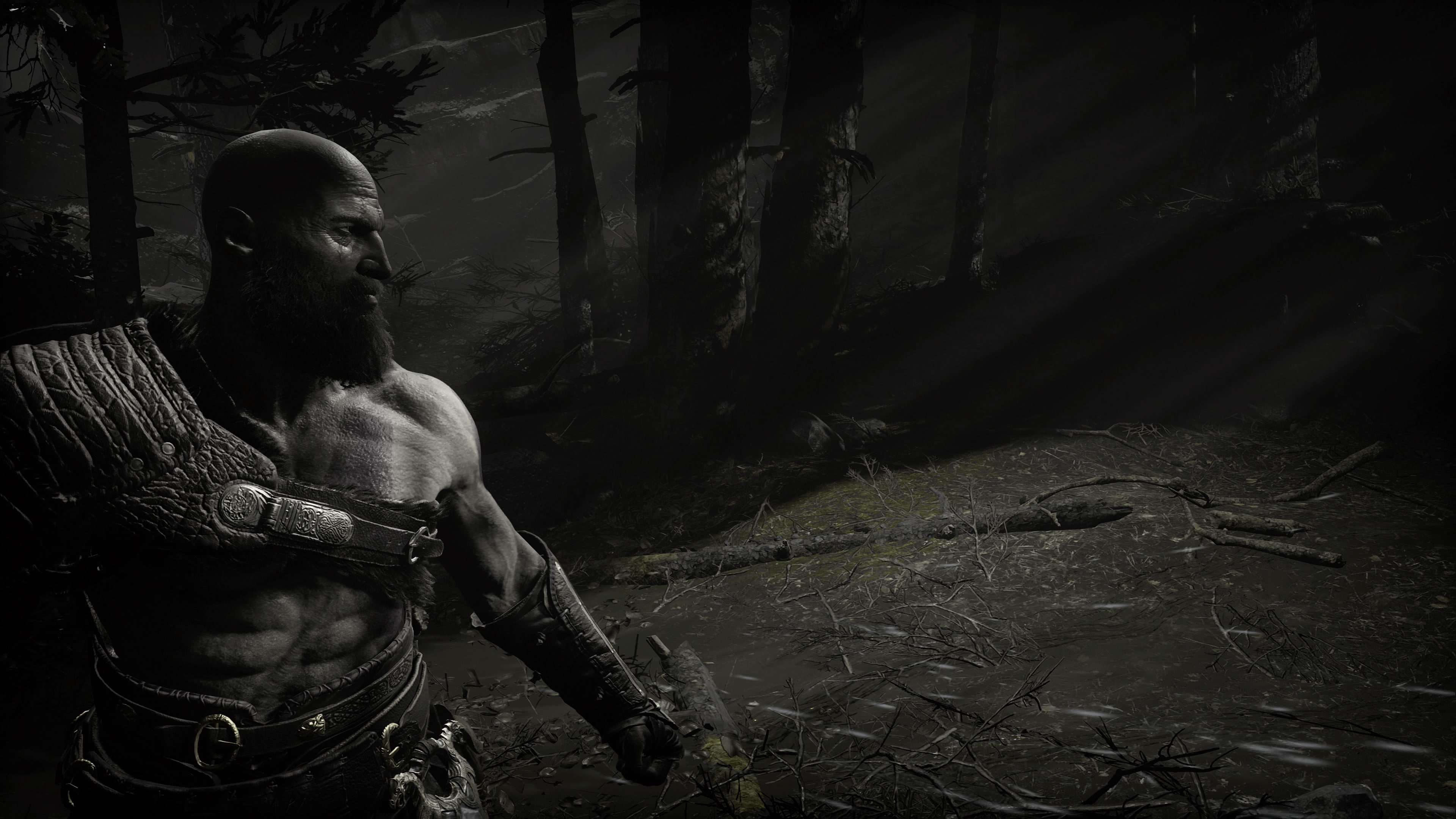 forest, standing, young men, one person, real people, adult, lifestyles, men, portrait, day, leisure activity, land, tree, nature, God of War, mid adult men, HD Wallpaper