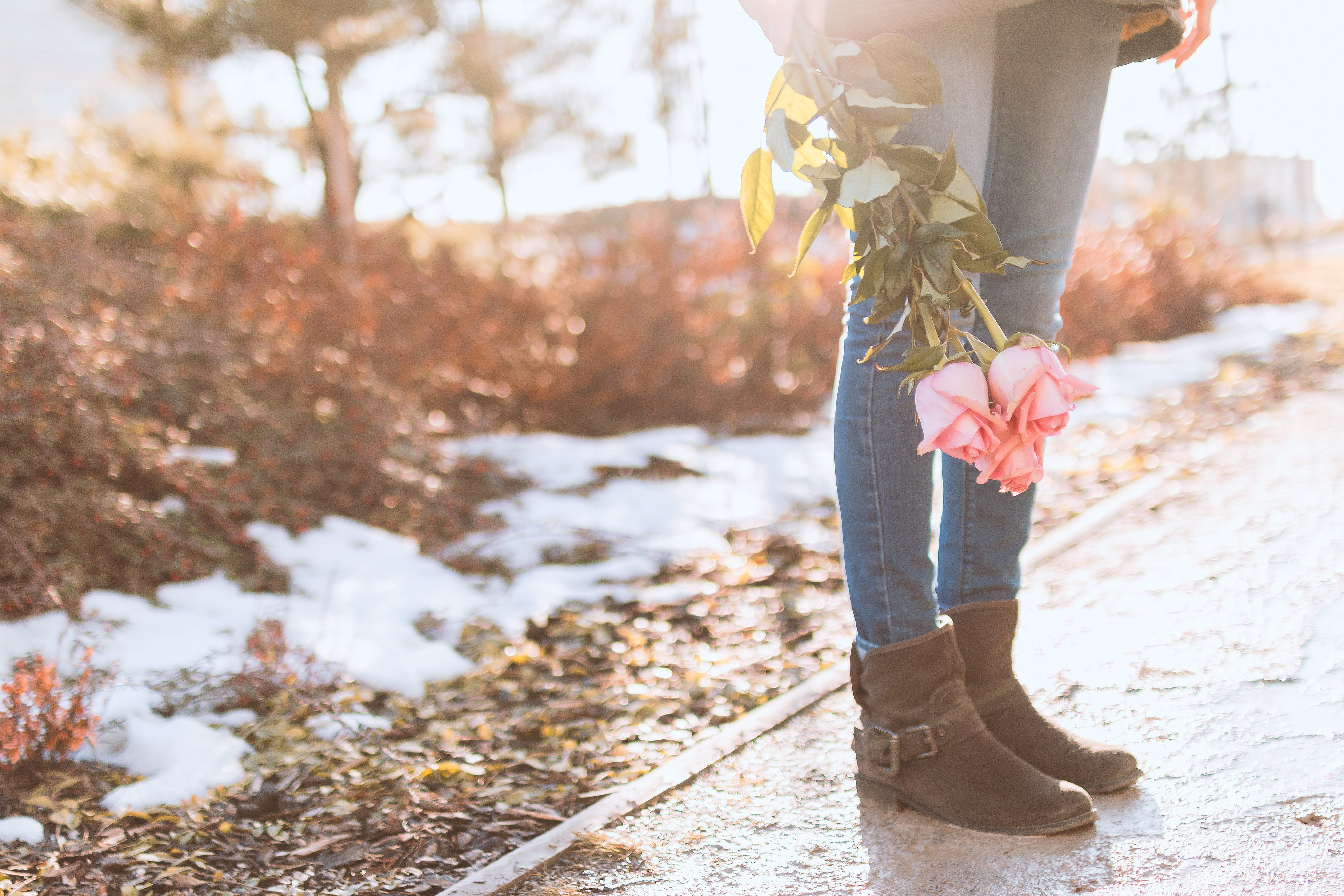 roses, cold temperature, body part, nature, limb, human leg, young, shoe, focus on foreground, standing, warm clothing, winter, women, human limb, outdoors, HD Wallpaper