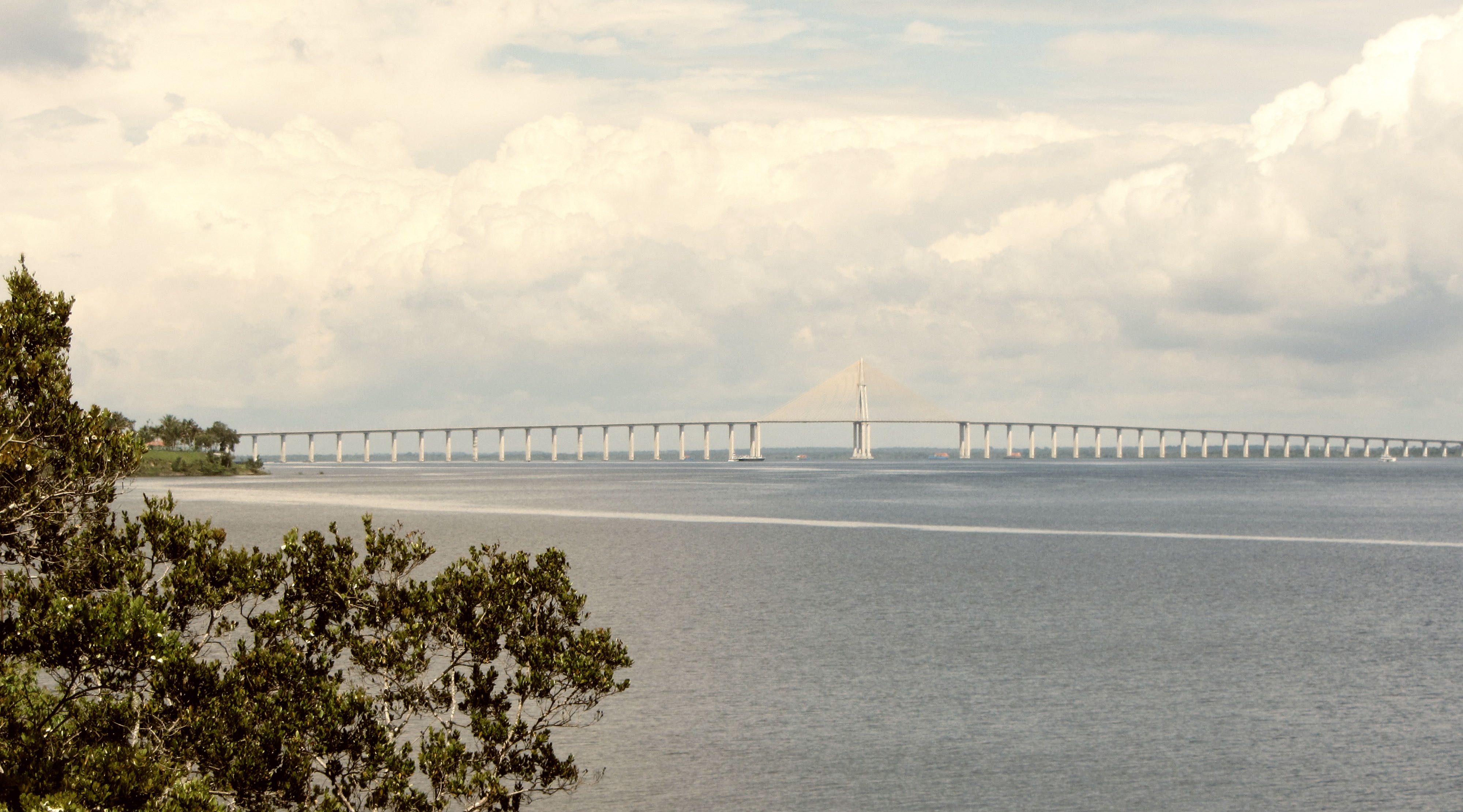 suspension bridge, day, white, brazil, outdoors, manaus, rails, transportation, concrete, architecture, body, north, cloud - sky, nature, bonde, sky, plant, HD Wallpaper