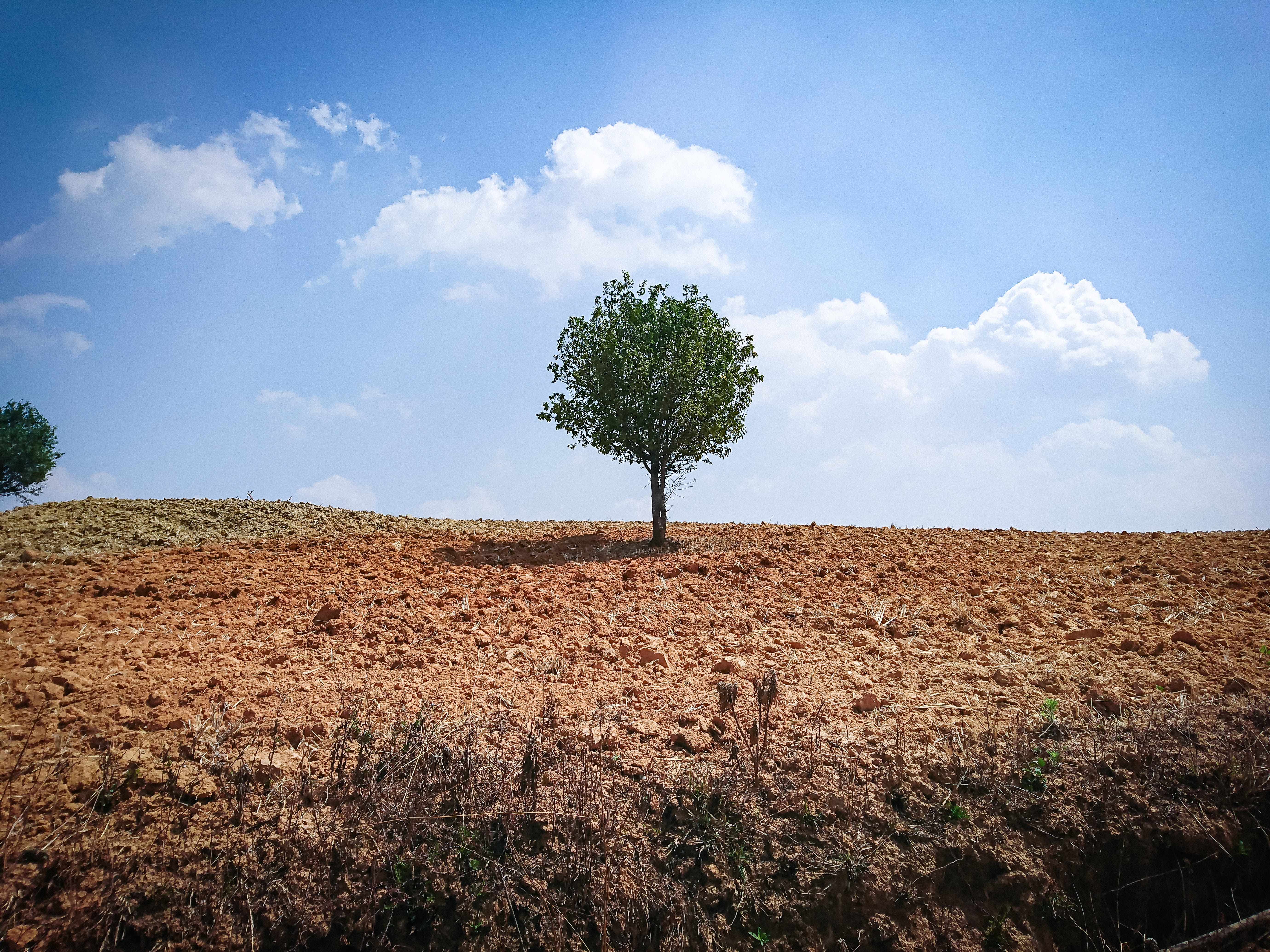 ditch, cloud - sky, green, para rubber tree, no people, beauty in nature, soil, field, fir, desert, blue, road, outdoors, savanna, tree, landscape, scenics - nature, HD Wallpaper