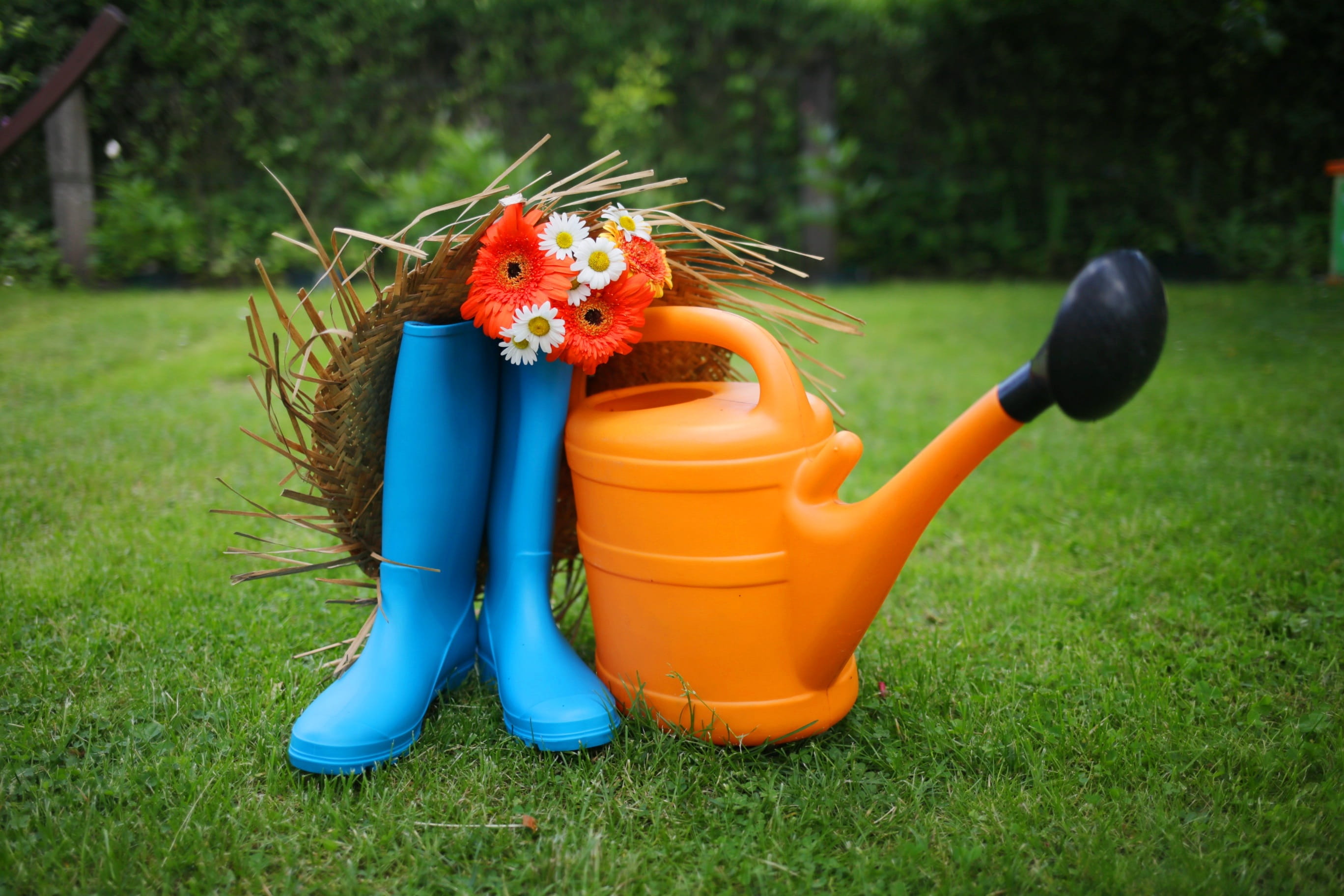 focus on foreground, green color, watering can, garden tools, dacha, outdoors, rubber boots, summer, grass, childhood, 2K, front or back yard, garden plants, HD Wallpaper