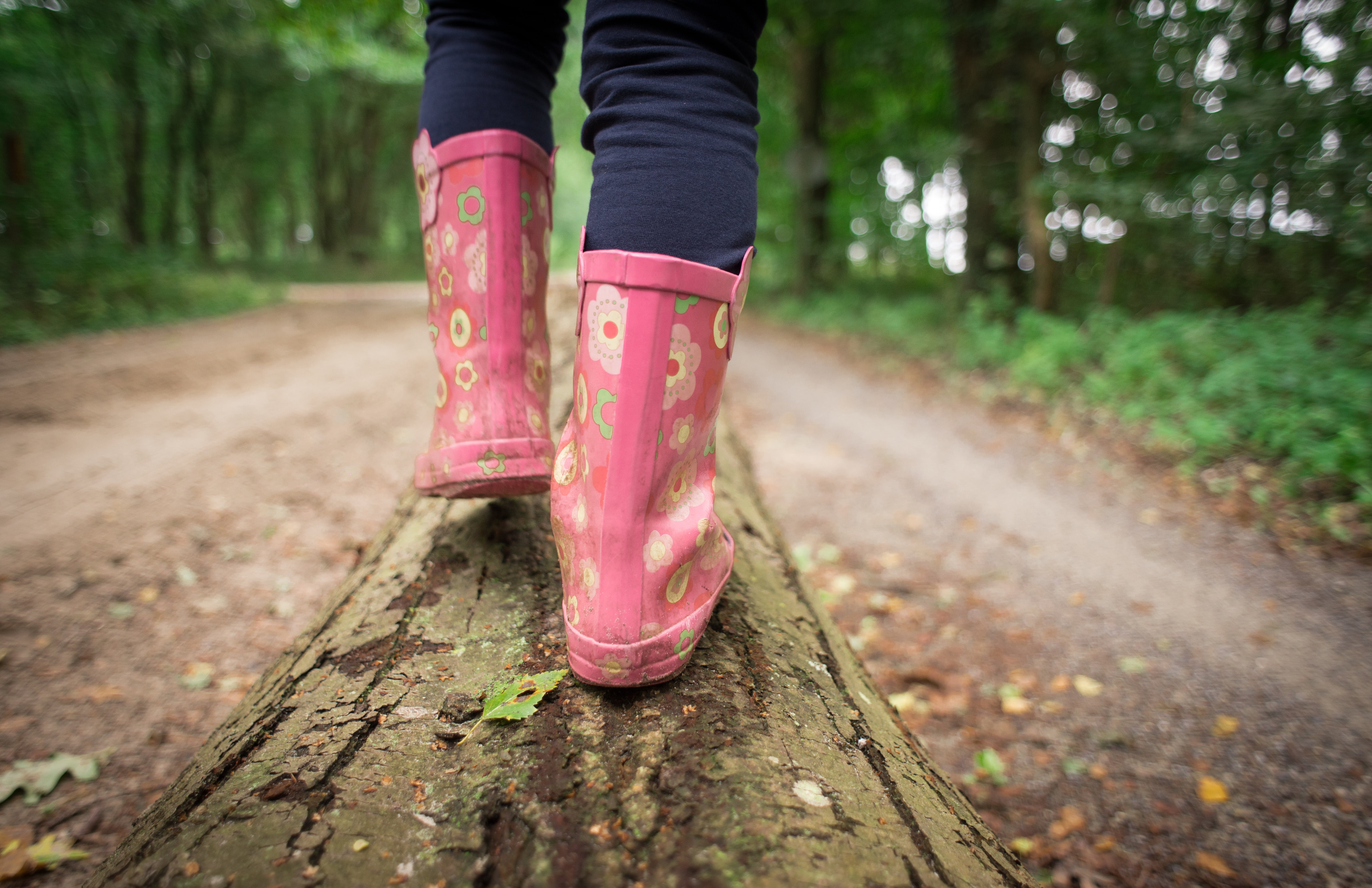 fun, boots, woodland, fall, tree trunk, running, sport, tree, one Person, focus, walking, women, exercising, selective, flowers, nature, log, limb, person, HD Wallpaper