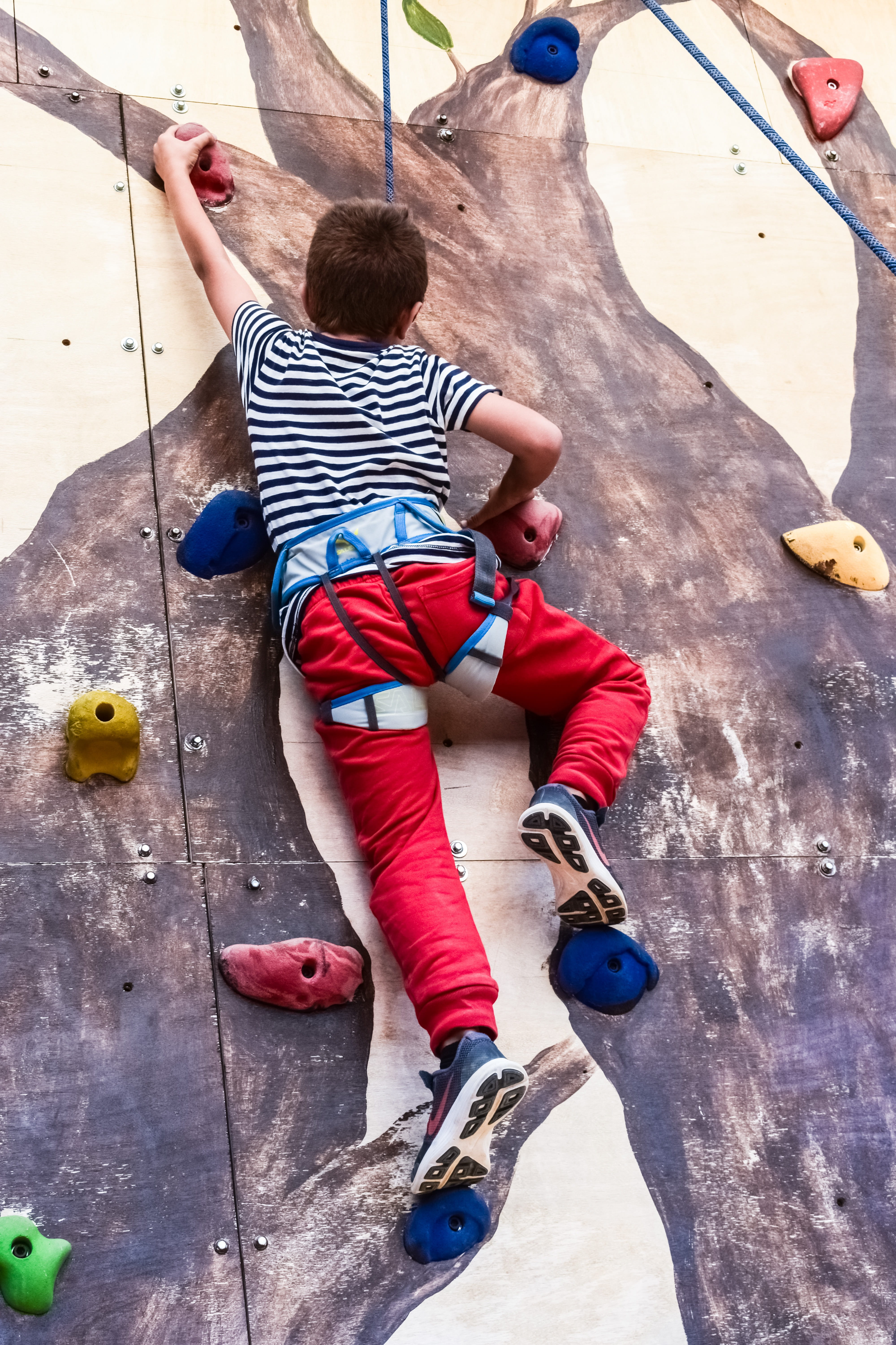 innocence, boy, active, wall, childhood, men, lifestyles, males, extreme sports, outdoors, climbing wall, activity, people, 5K, real people, child, sport, Phone HD Wallpaper