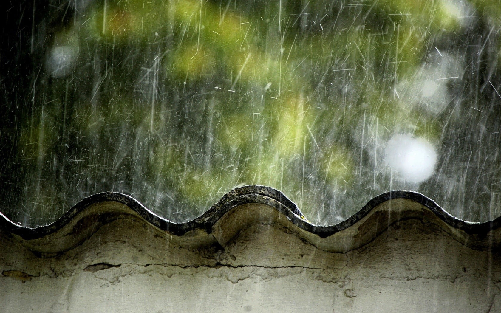 tranquility, wood - material, nature, environment, day, white, painted, outdoors, Japan, 720P, plant, motion, scenics - nature, wall, tree, rain, reptile, HD Wallpaper