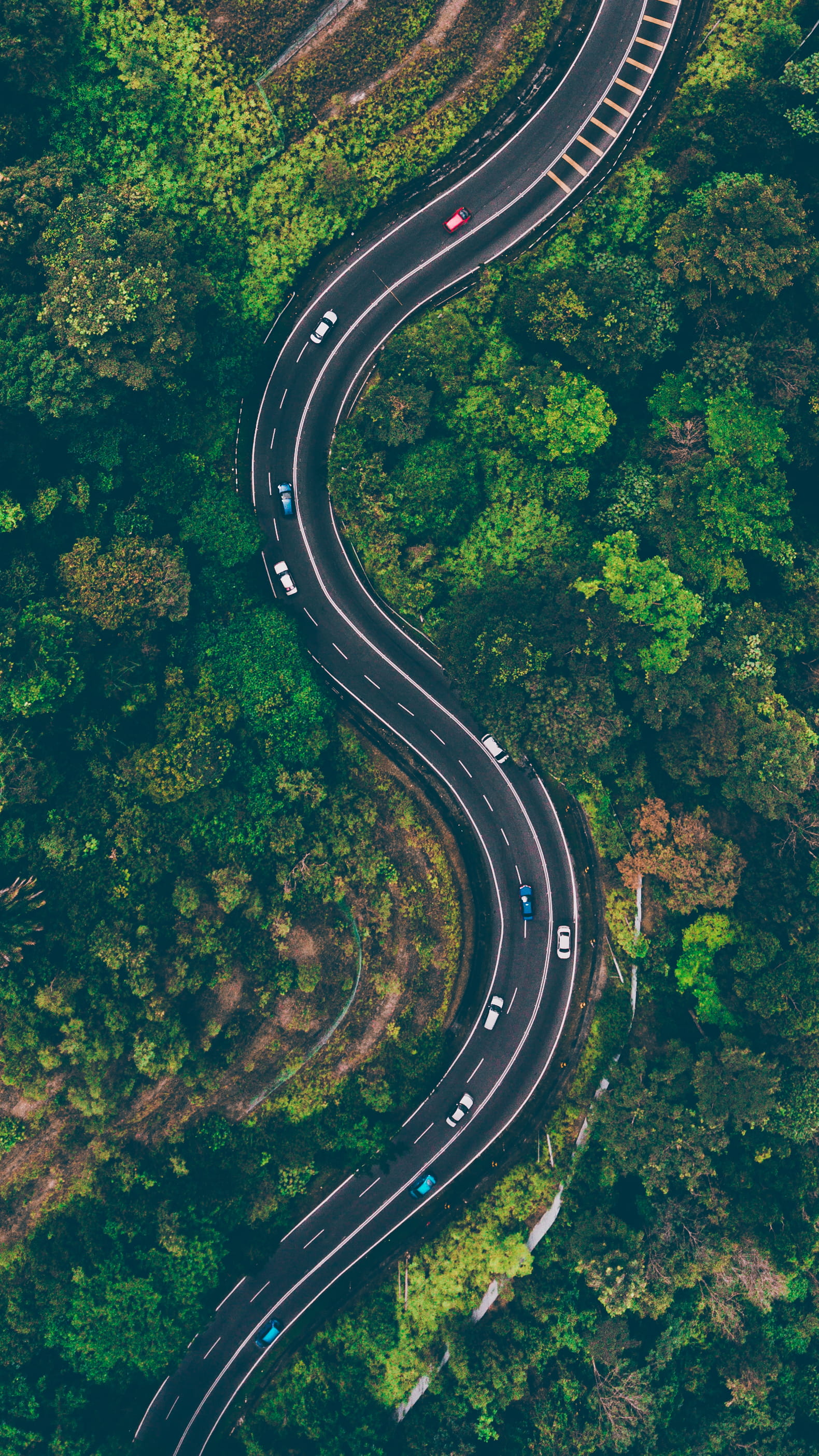 vehicles, middle, trees, view, aerial shot, nature, forest, street, 2K, tree, outdoors, woods, high angle view, environment, aerial photography, land vehicle, Phone HD Wallpaper