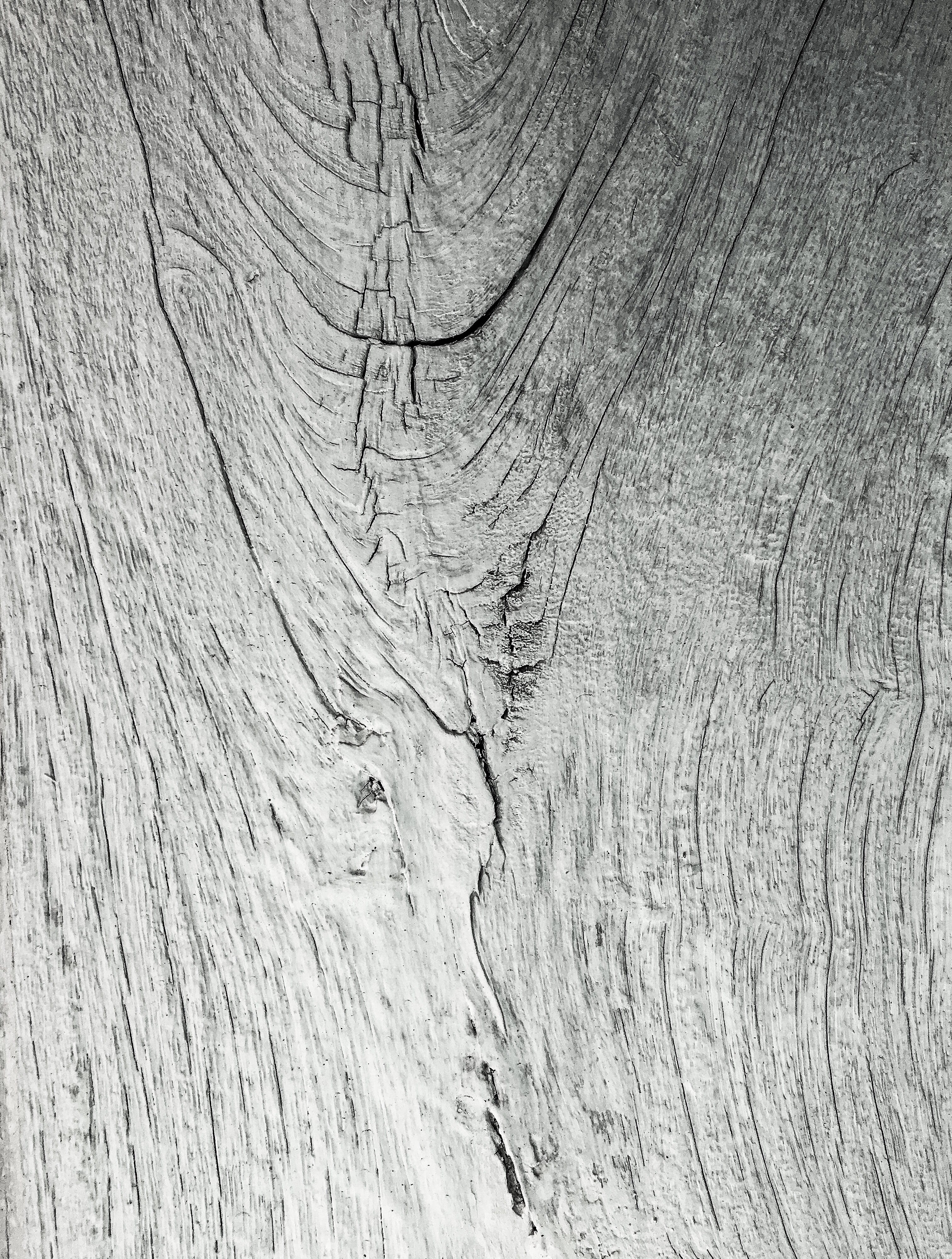 tree, pattern, textured, wood grain, close-up, plant, wooden, no people, phonewallpaper, outdoors, day, rough, nature, cracked, backgrounds, Phone HD Wallpaper