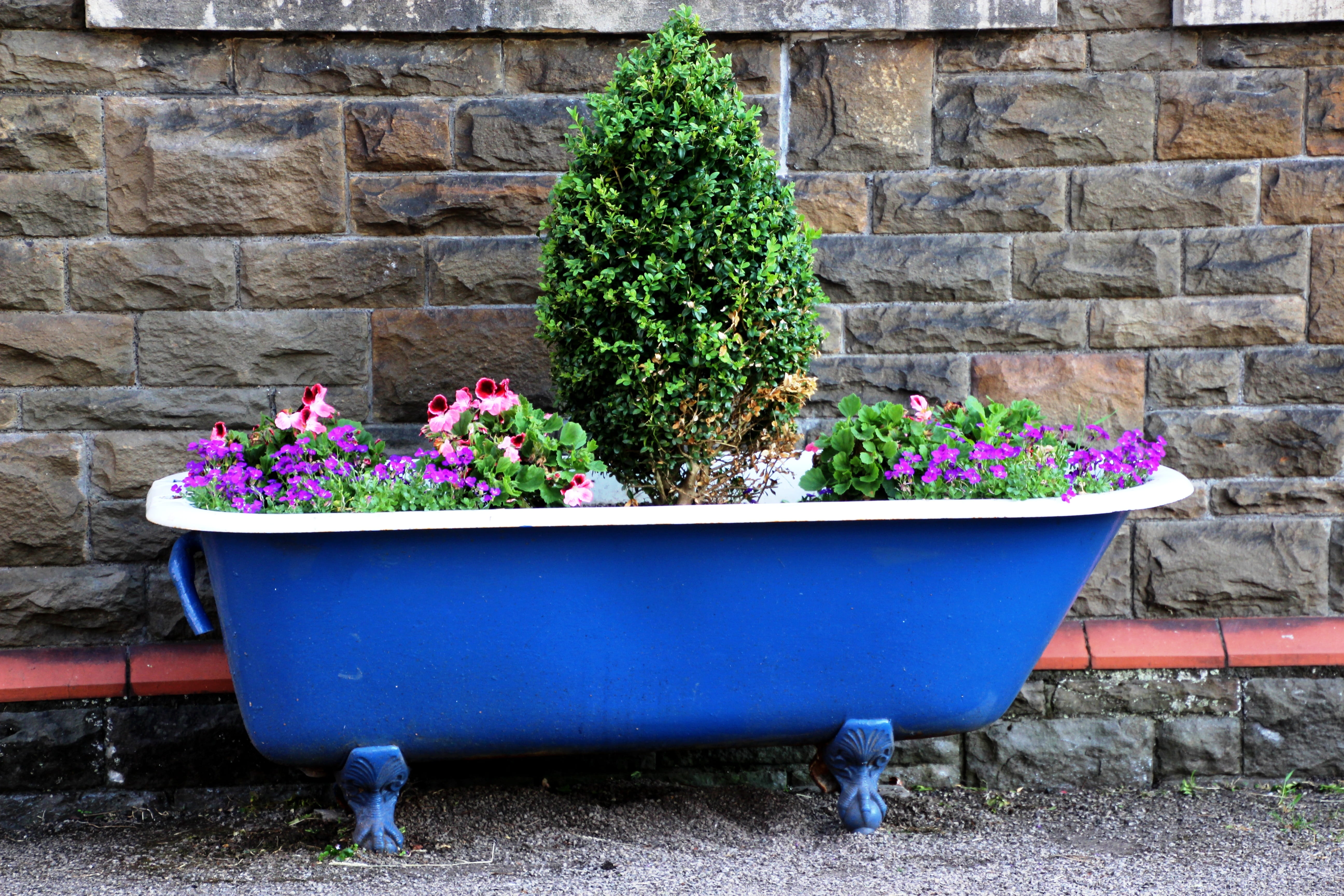 fragility, Garden, summer, botany, brick, blue, no people, wall - building feature, outdoors, flowers, decoration, flower pot, architecture, freshness, HD Wallpaper
