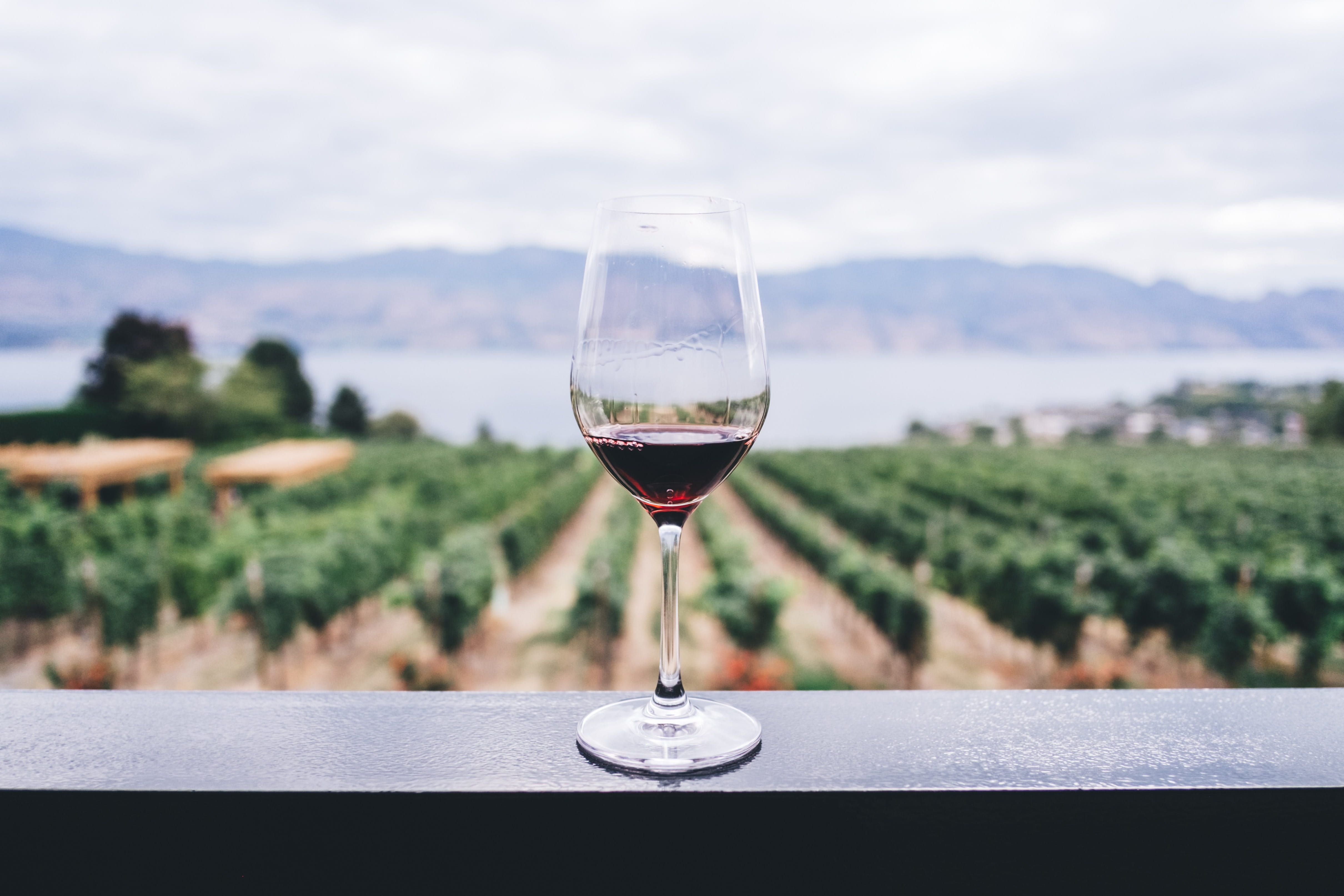 beauty in nature, freshness, red wine, sky, no people, mountain, food and drink, 4K, wineglass, transparent, drink, nature, day, close-up, outdoors, focus on foreground, HD Wallpaper