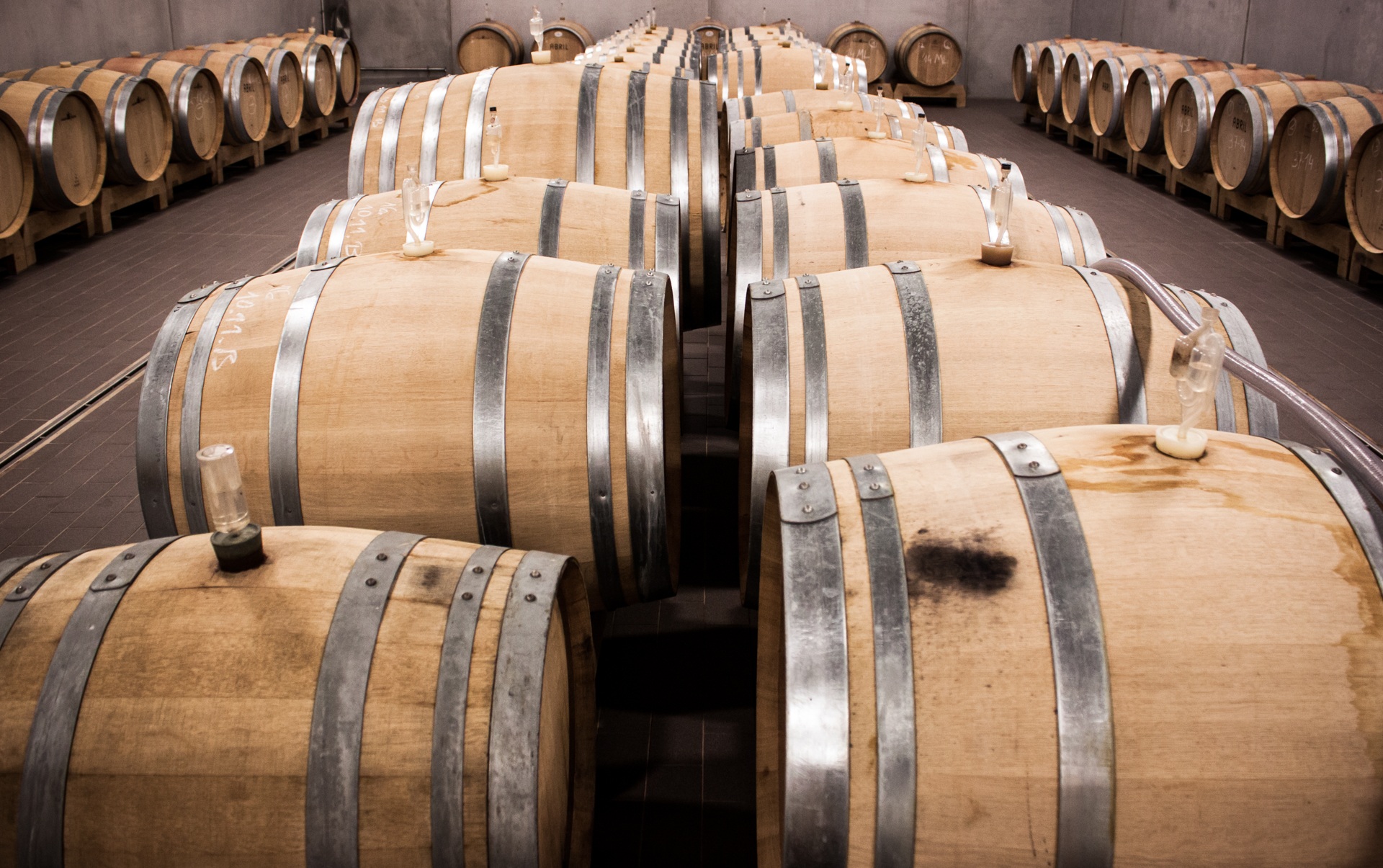 barrels, red, food and drink, warehouse, winemaker, winery, in a row, winemaking, large group of objects, container, cellar, indoors, business, refreshment, HD Wallpaper