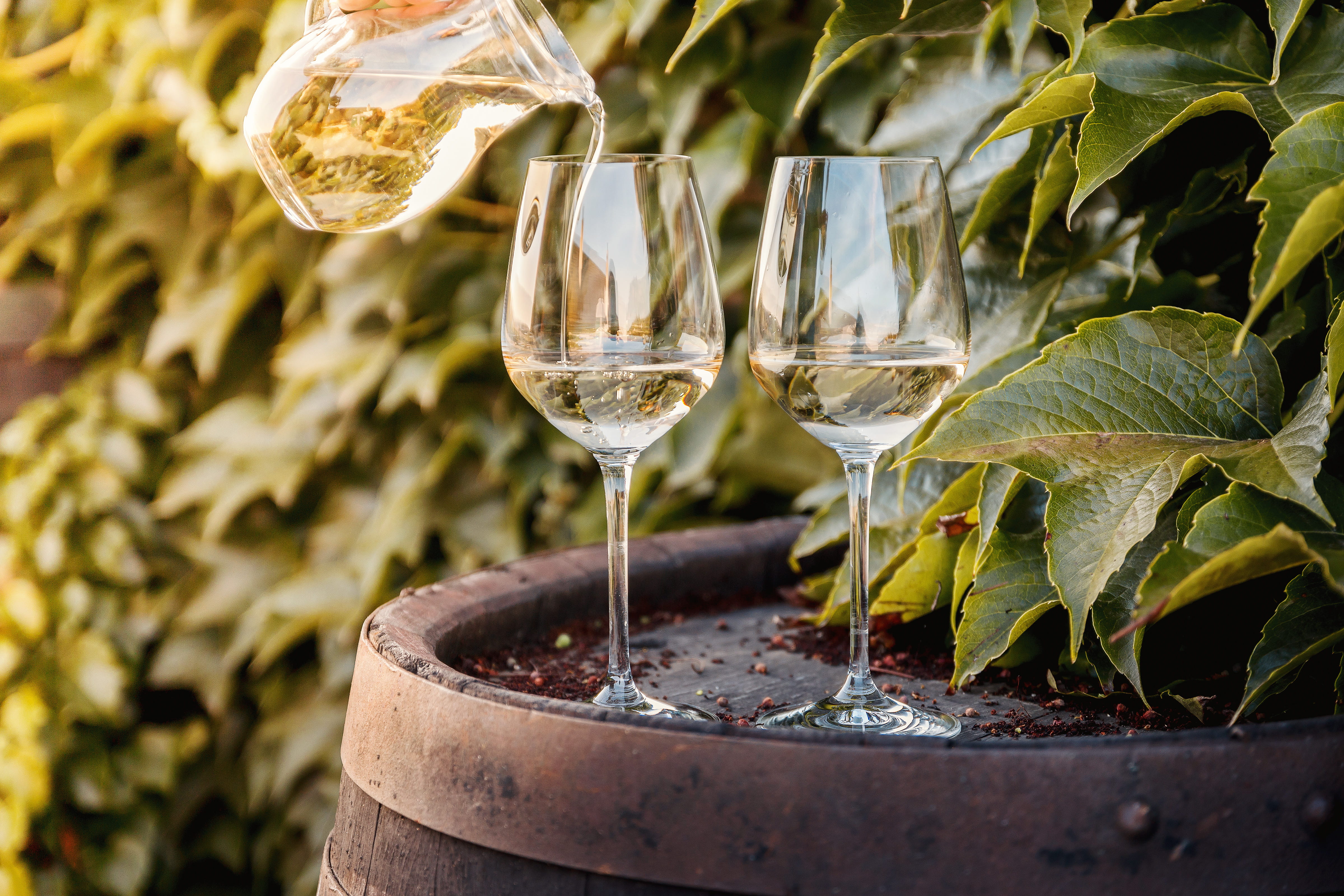 wine, glasses, two, outdoors, focus on foreground, wineglass, day, household equipment, refreshment, pouring, drink, food and drink, glass, plant, food, HD Wallpaper